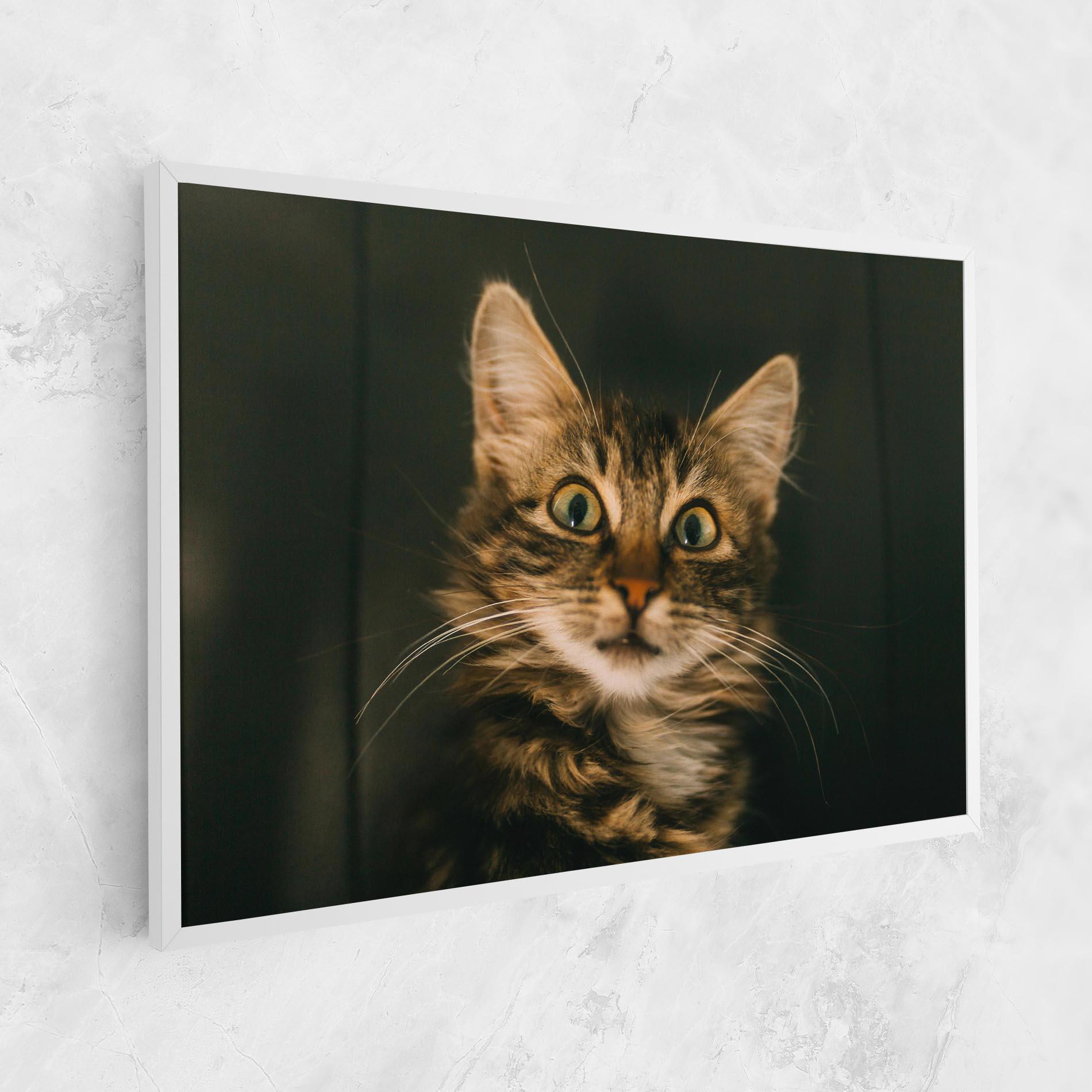 Vászonkép Amazed Cat mockup 1