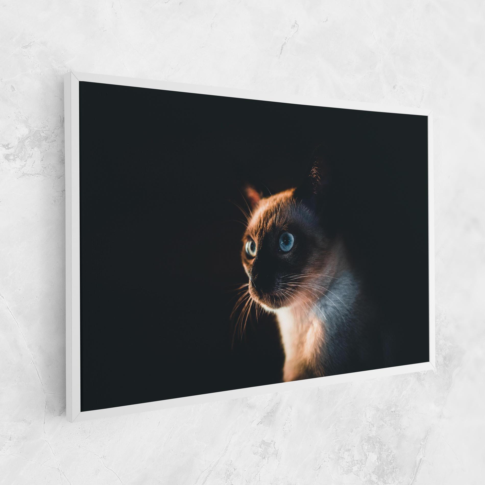 Vászonkép Blue Eyes Cat In Dark mockup 1