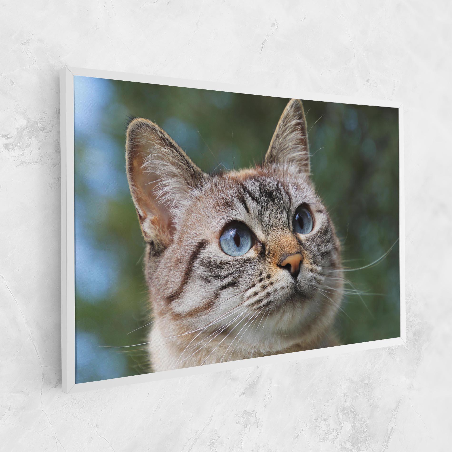 Vászonkép Blue Eyes Cutie mockup 1