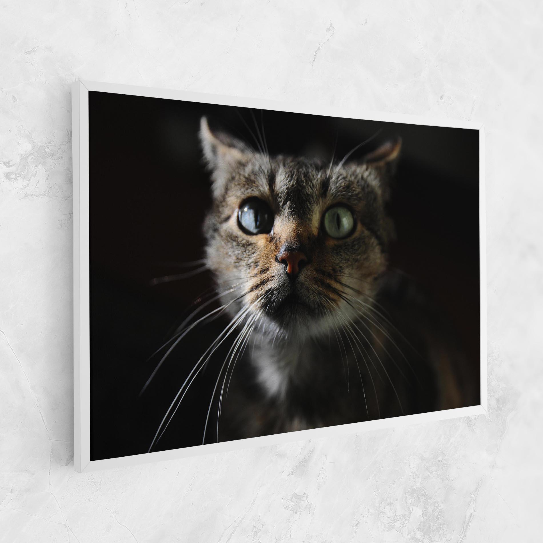 Vászonkép Playful Cat mockup 1