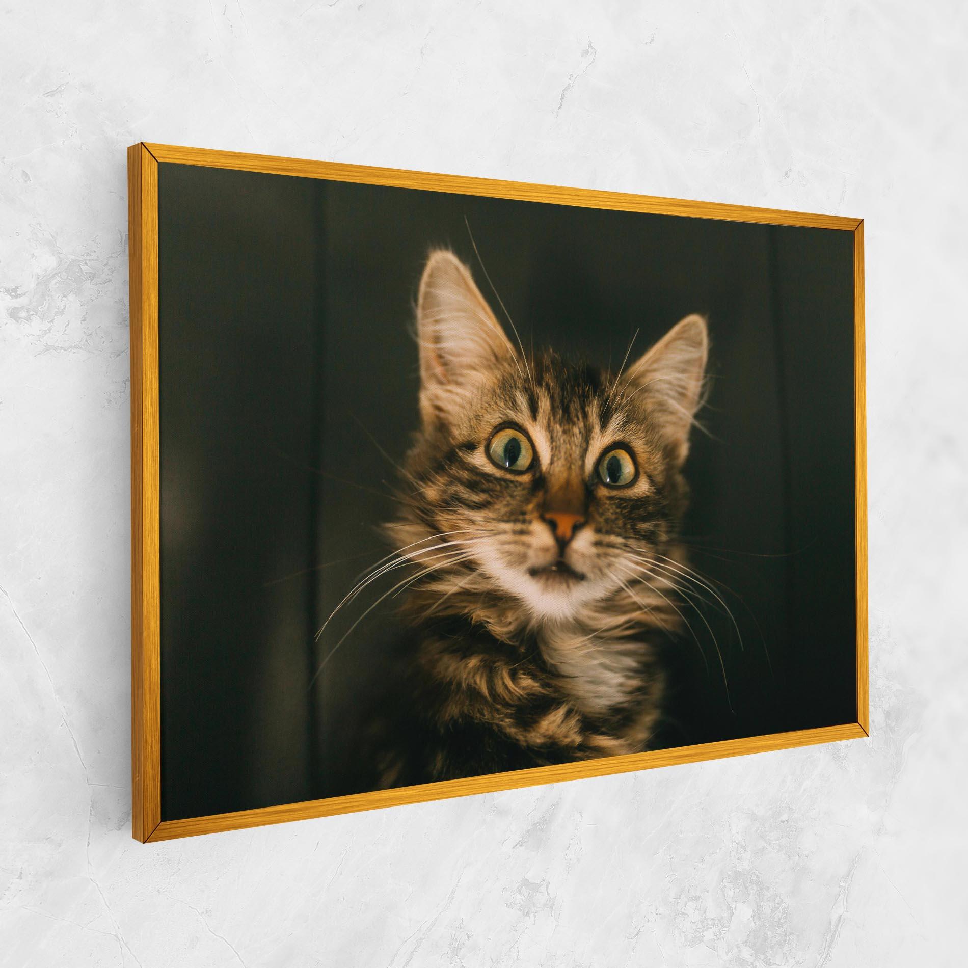Vászonkép Amazed Cat mockup 1