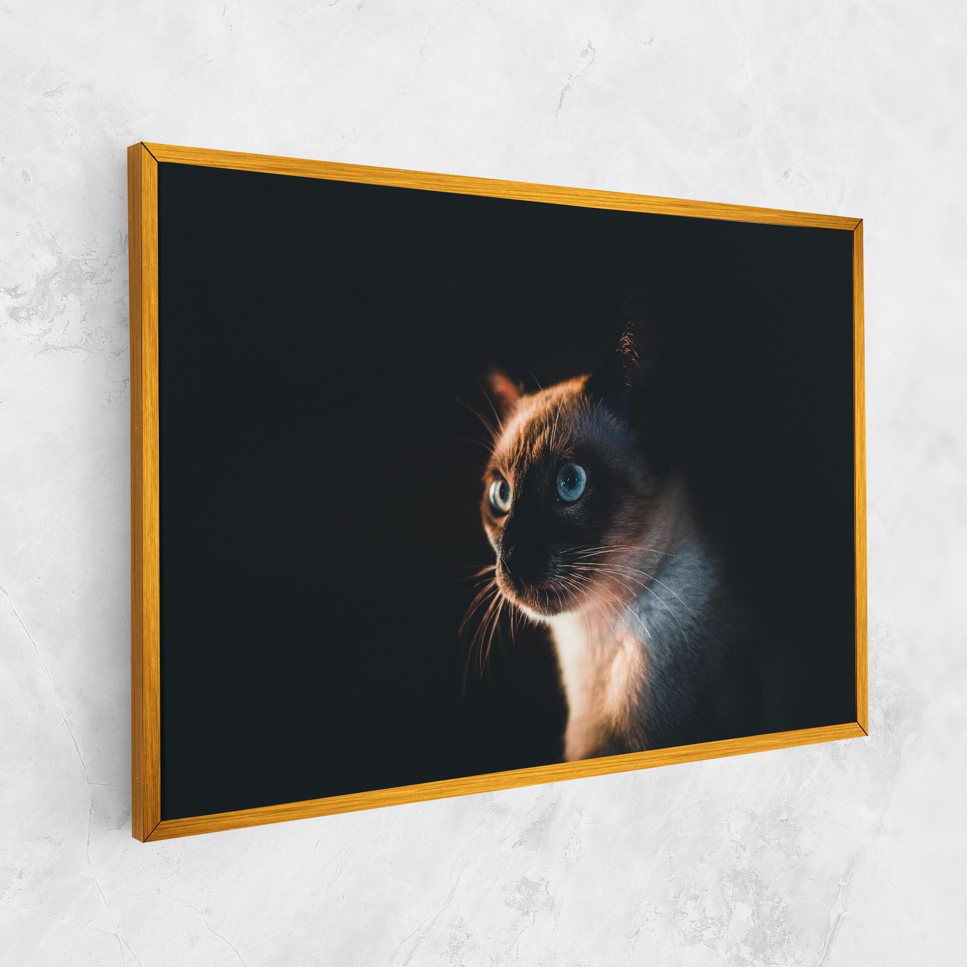 Vászonkép Blue Eyes Cat In Dark mockup 1