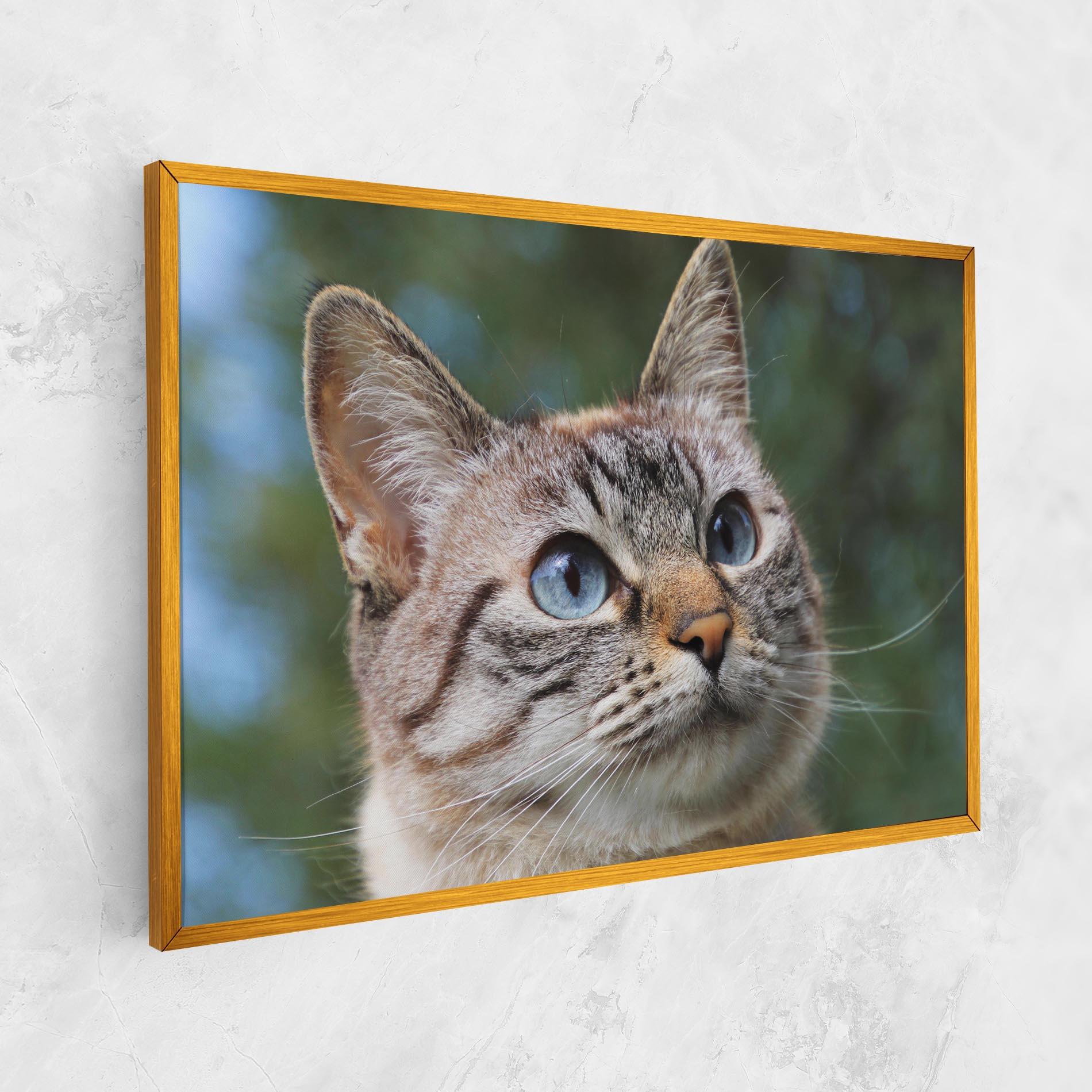 Vászonkép Blue Eyes Cutie mockup 1