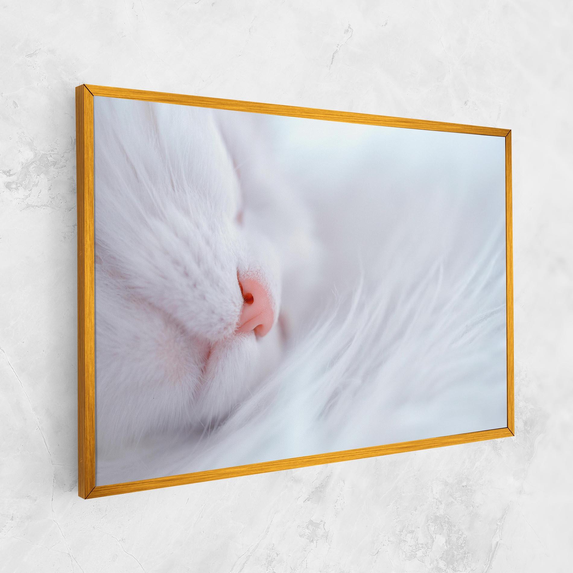 Vászonkép Dreamy White Cat mockup 1