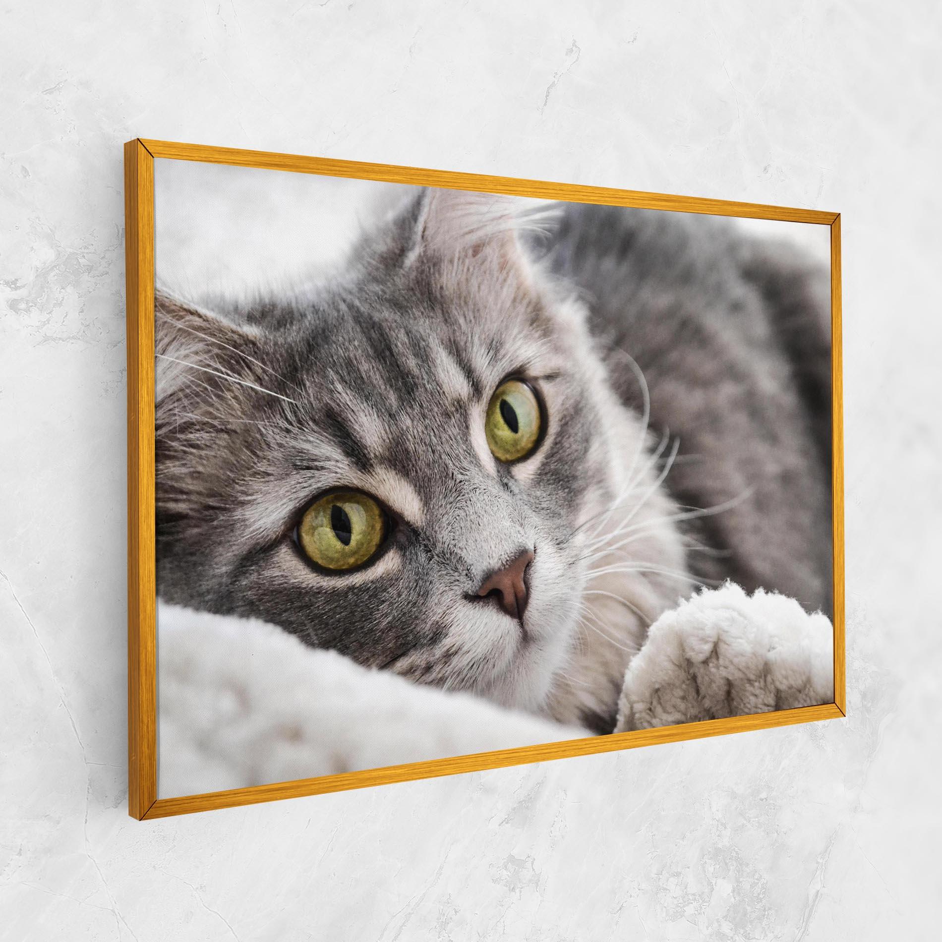 Vászonkép Grey Fluffy Cat mockup 1