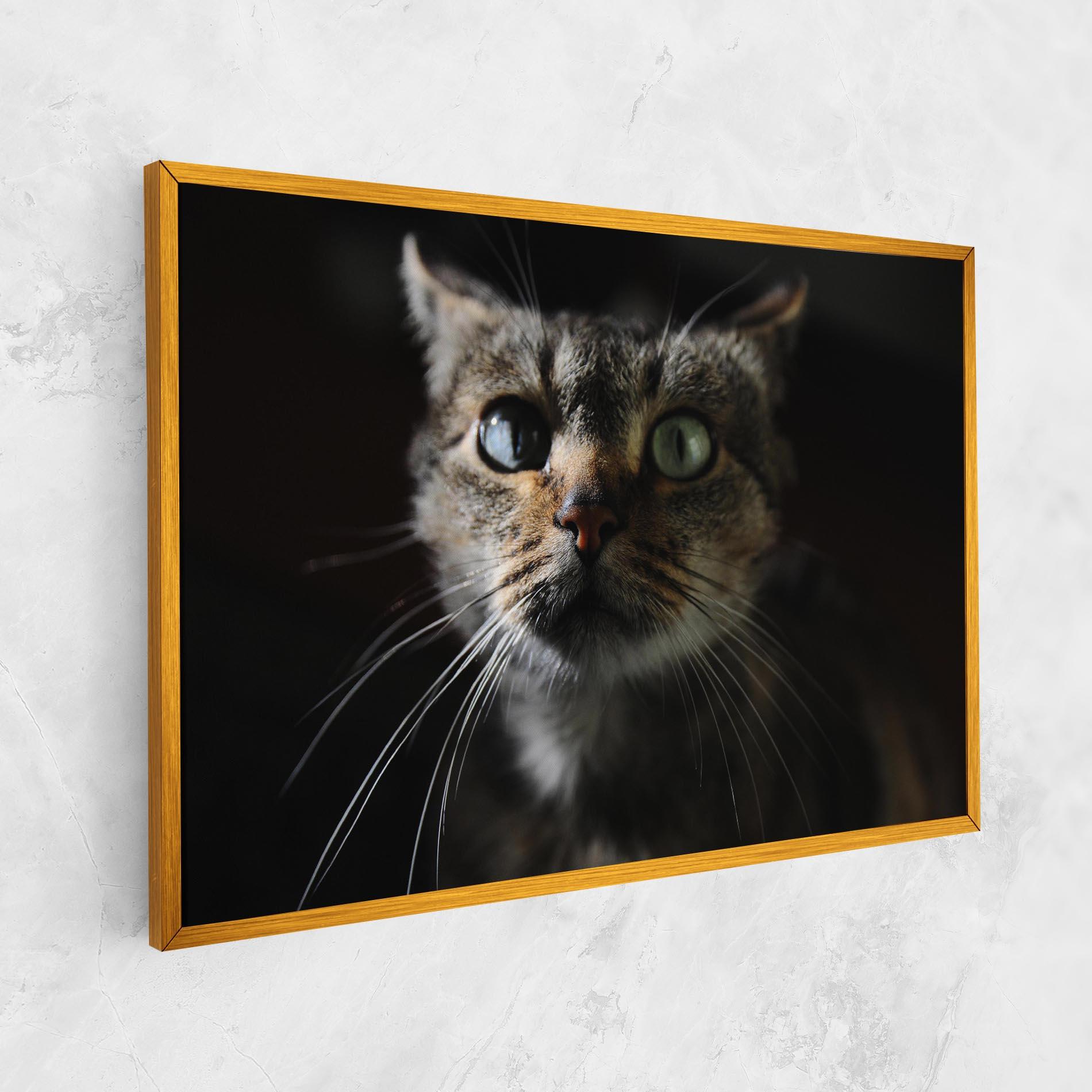 Vászonkép Playful Cat mockup 1