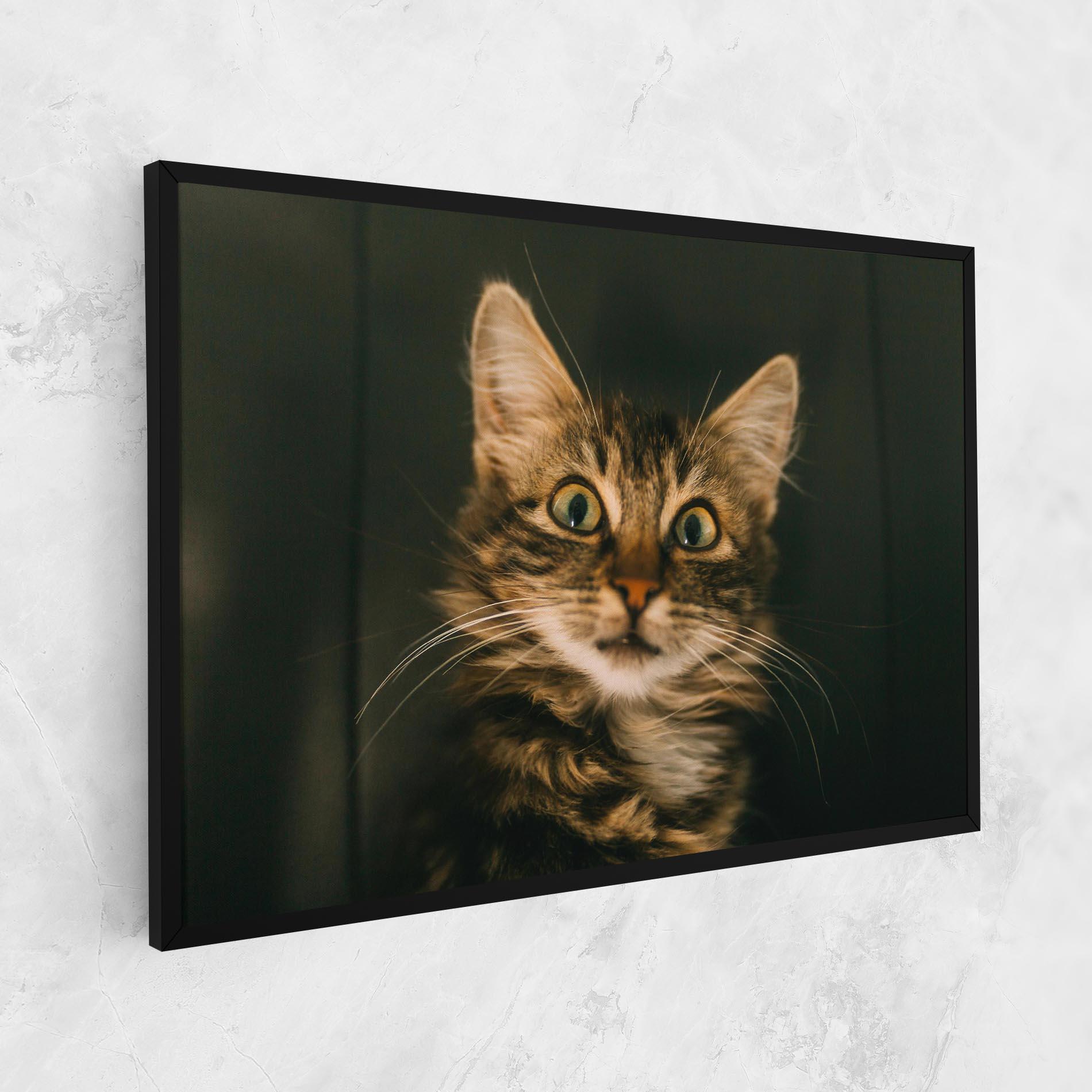 Vászonkép Amazed Cat mockup 1