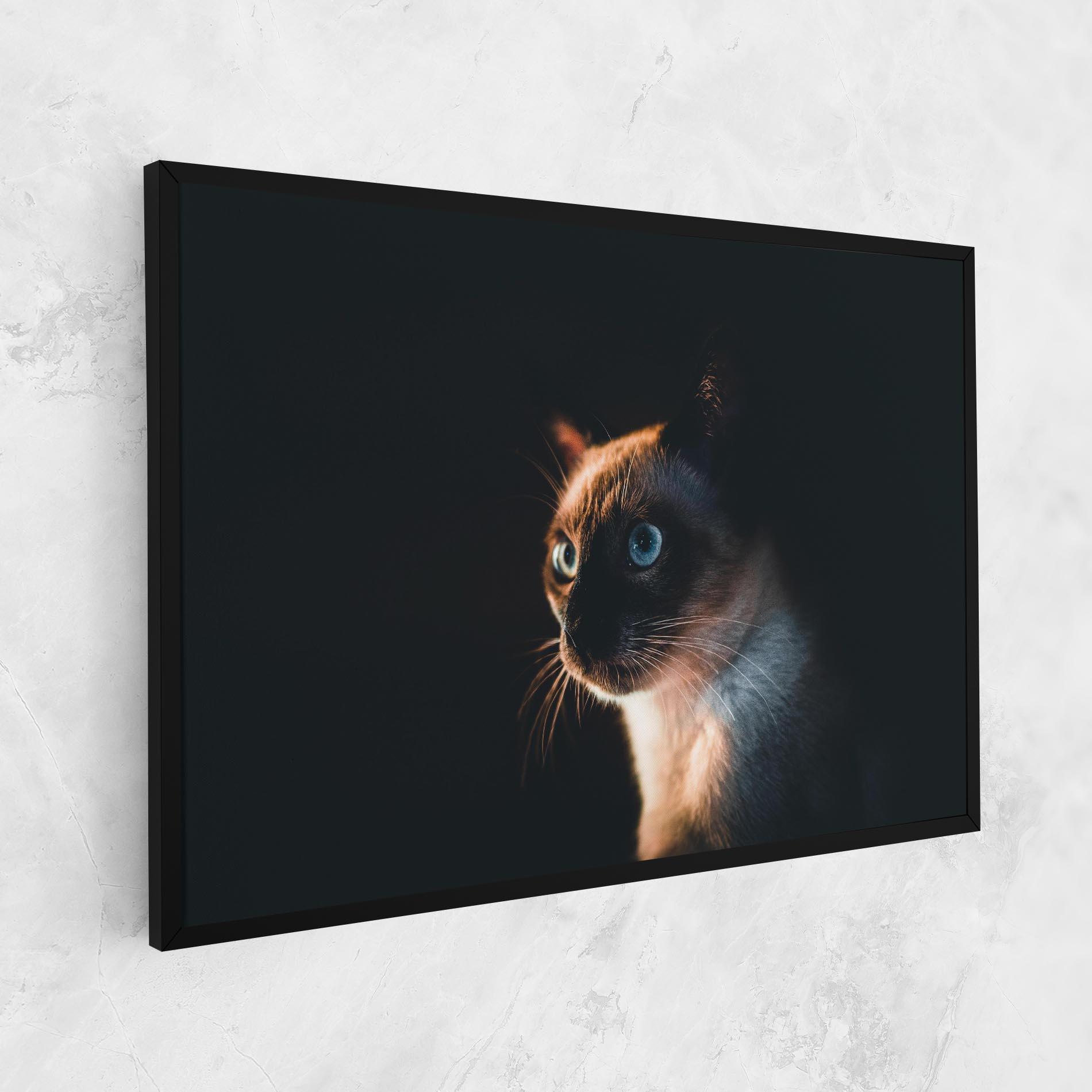 Vászonkép Blue Eyes Cat In Dark mockup 1
