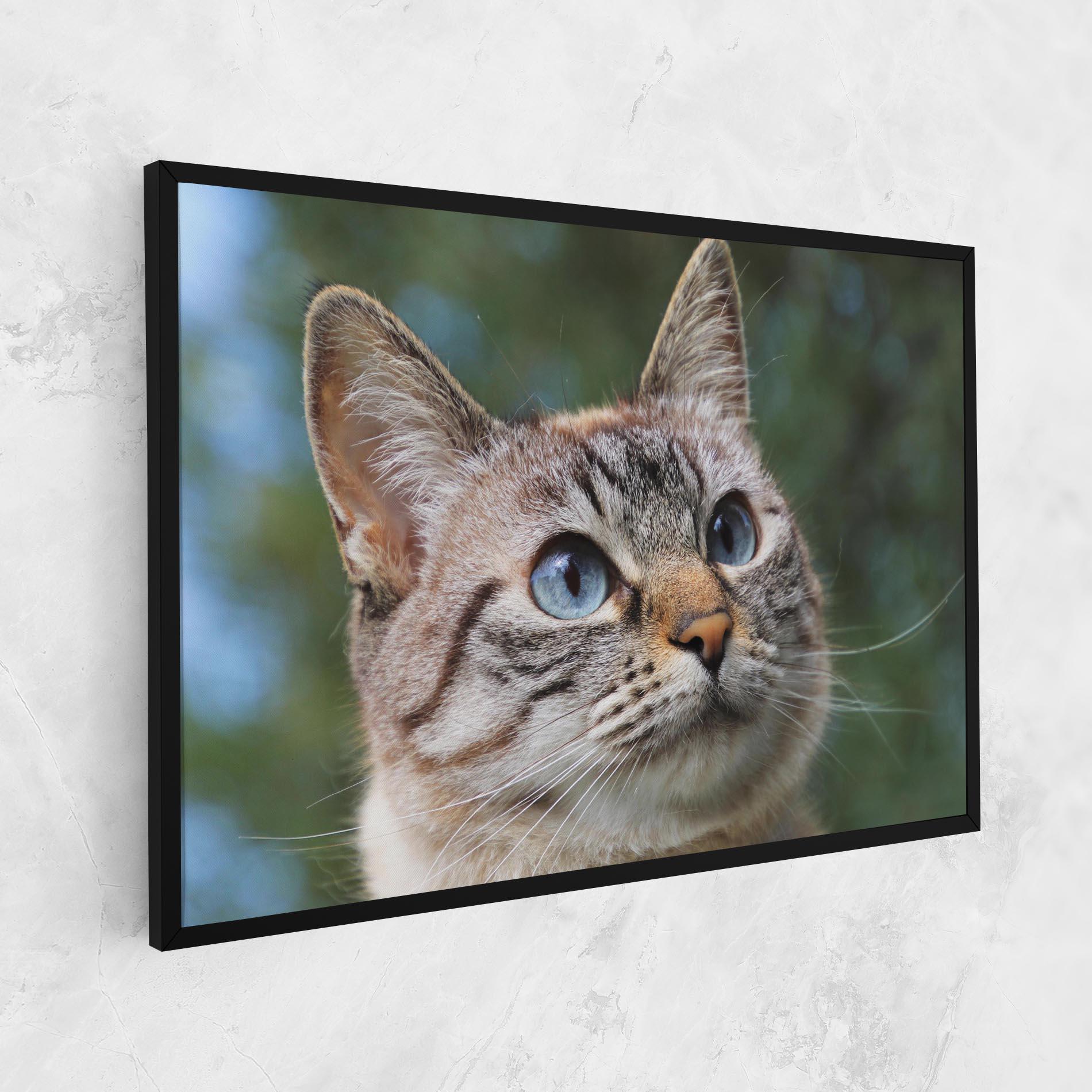 Vászonkép Blue Eyes Cutie mockup 1