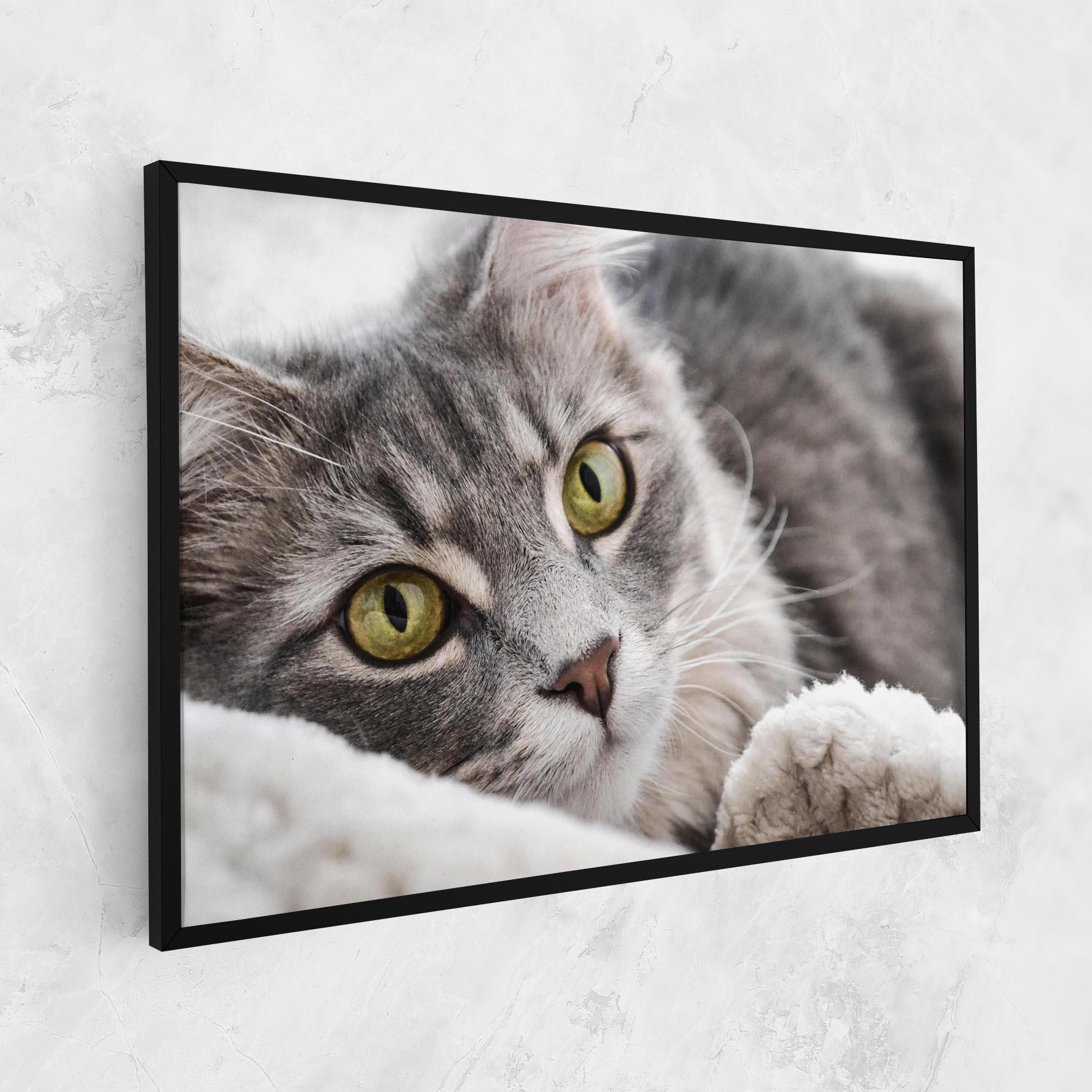 Vászonkép Grey Fluffy Cat mockup 1