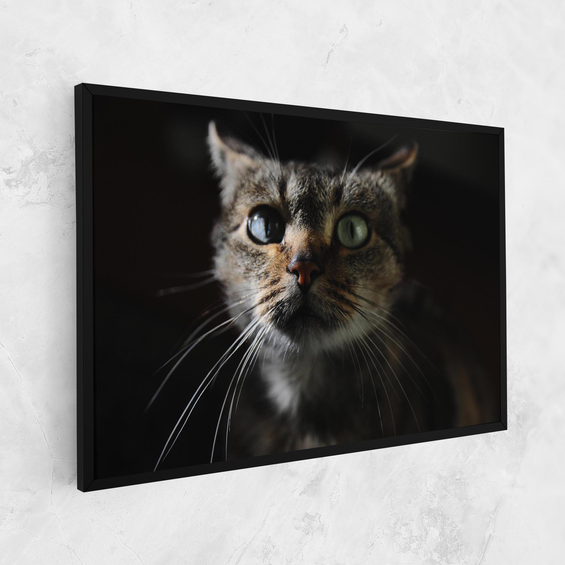 Vászonkép Playful Cat mockup 1