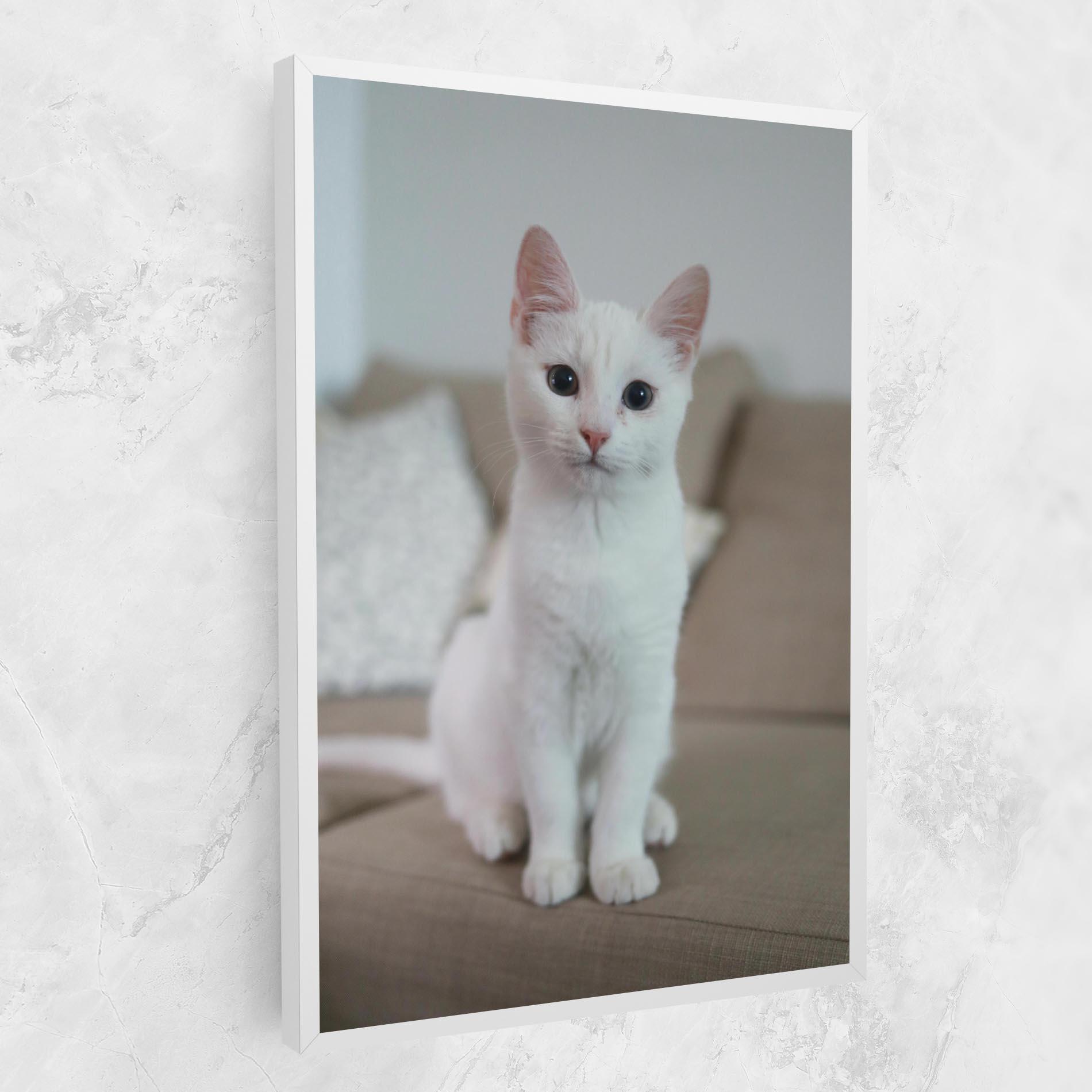 Vászonkép Beautiful White Cat mockup 1