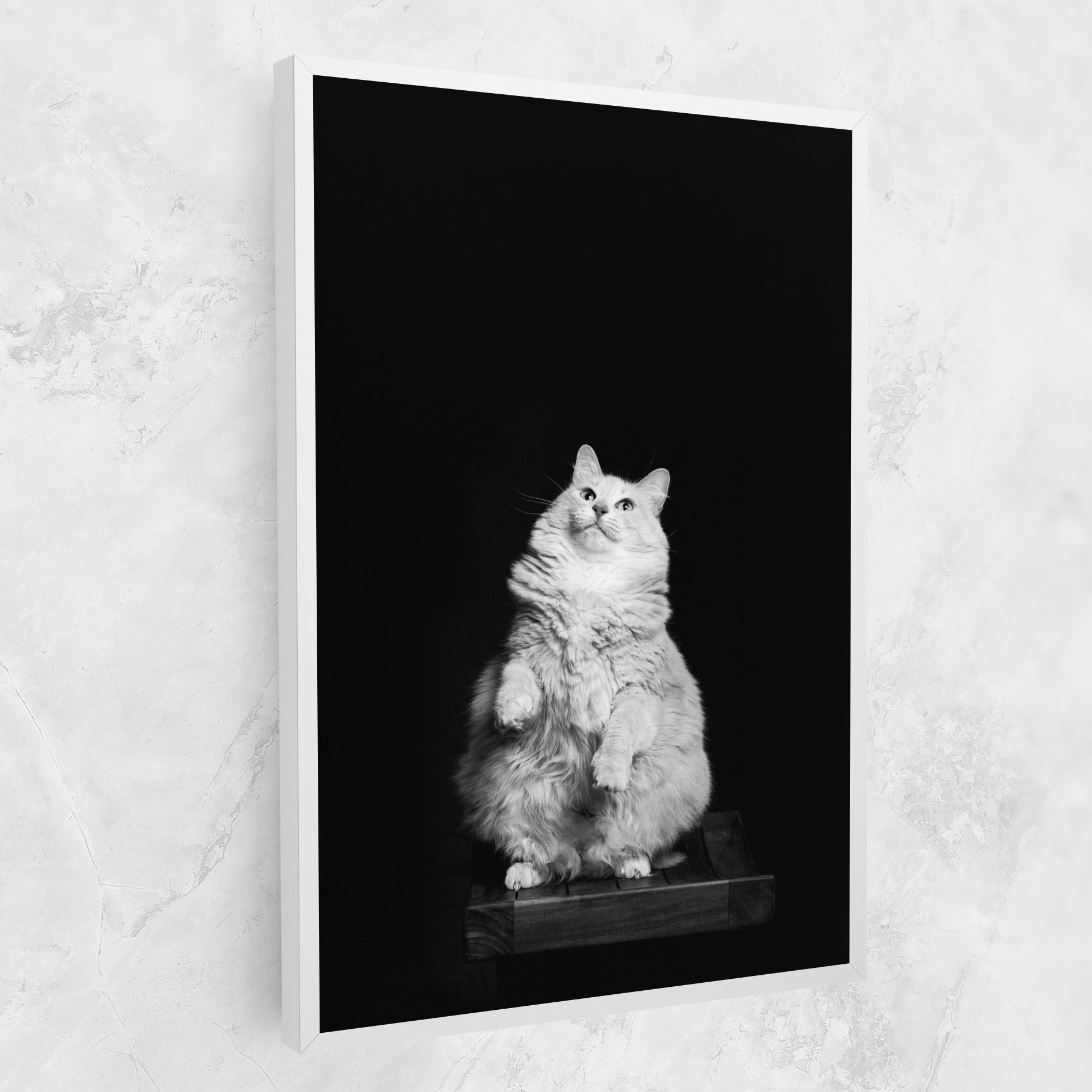 Vászonkép Big Fluffy Cat mockup 1
