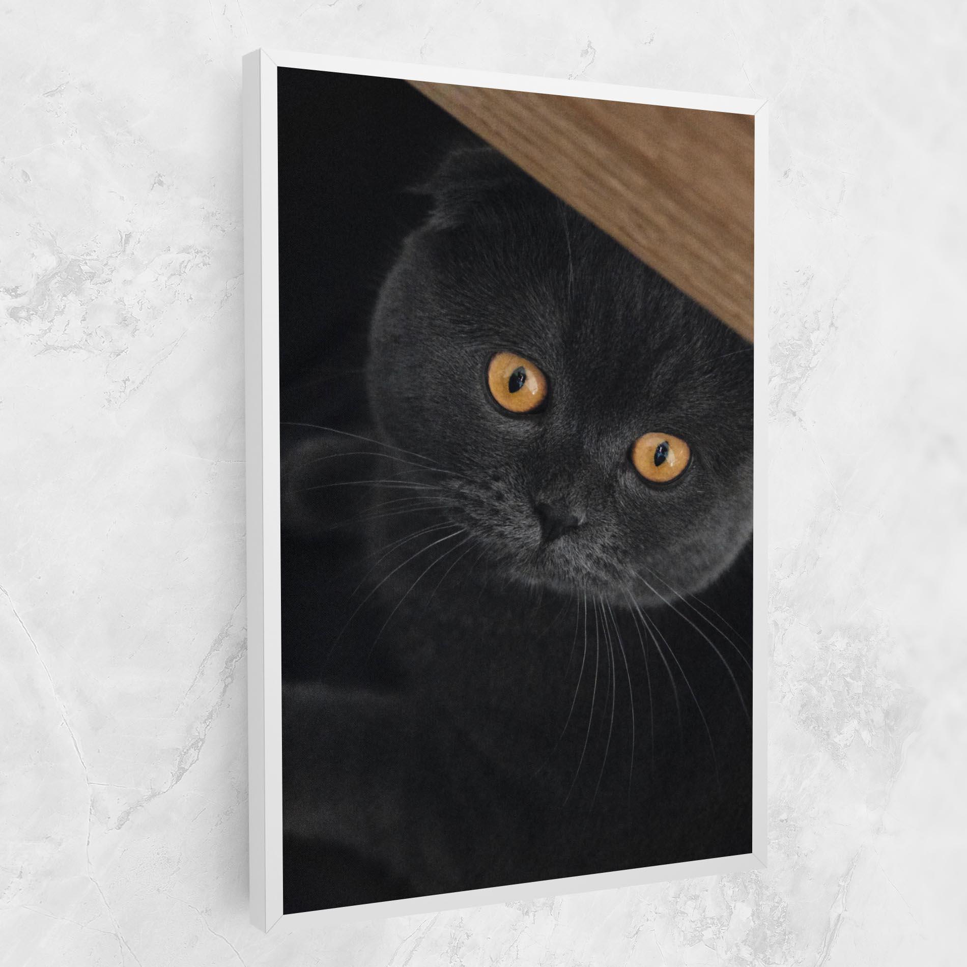 Vászonkép Grey Cat With Orange Eyes mockup 1