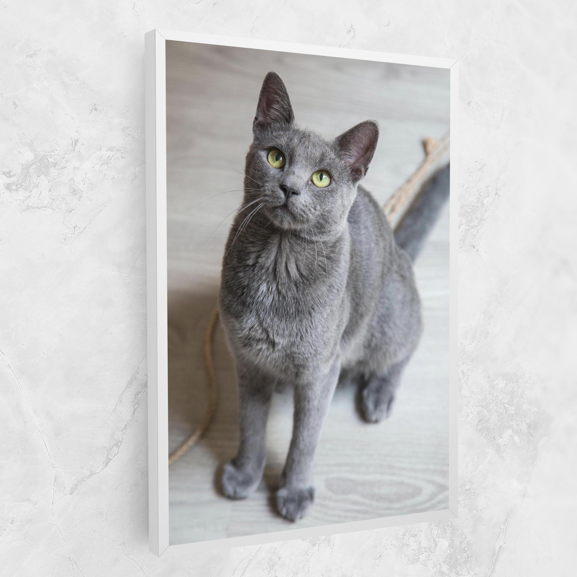 Vászonkép Grey Green Cat Eyes mockup 1