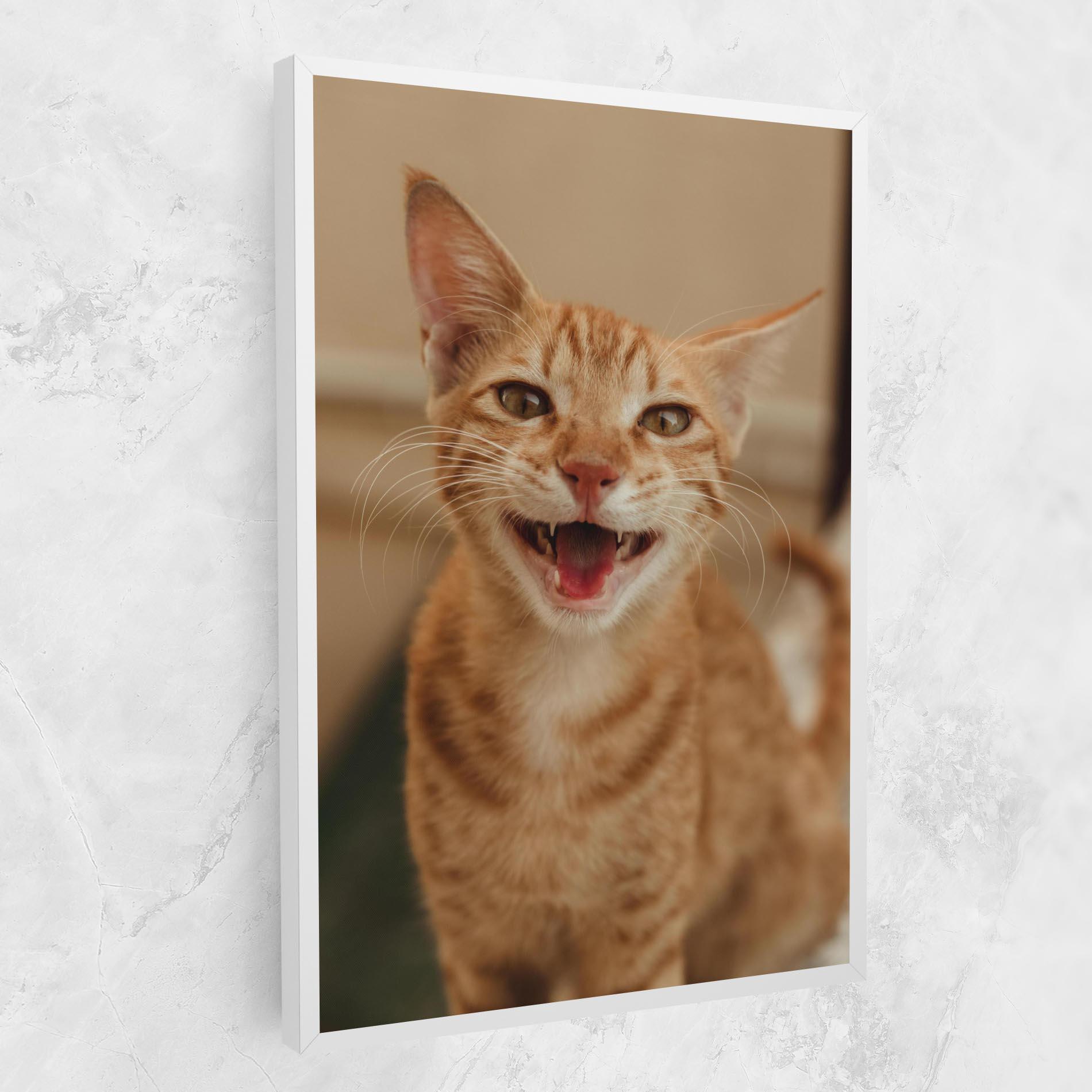 Vászonkép Orange Cat Smiling mockup 1