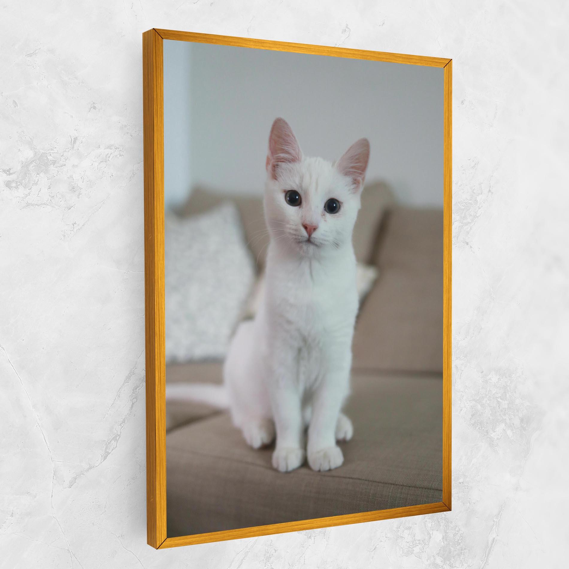 Vászonkép Beautiful White Cat mockup 1