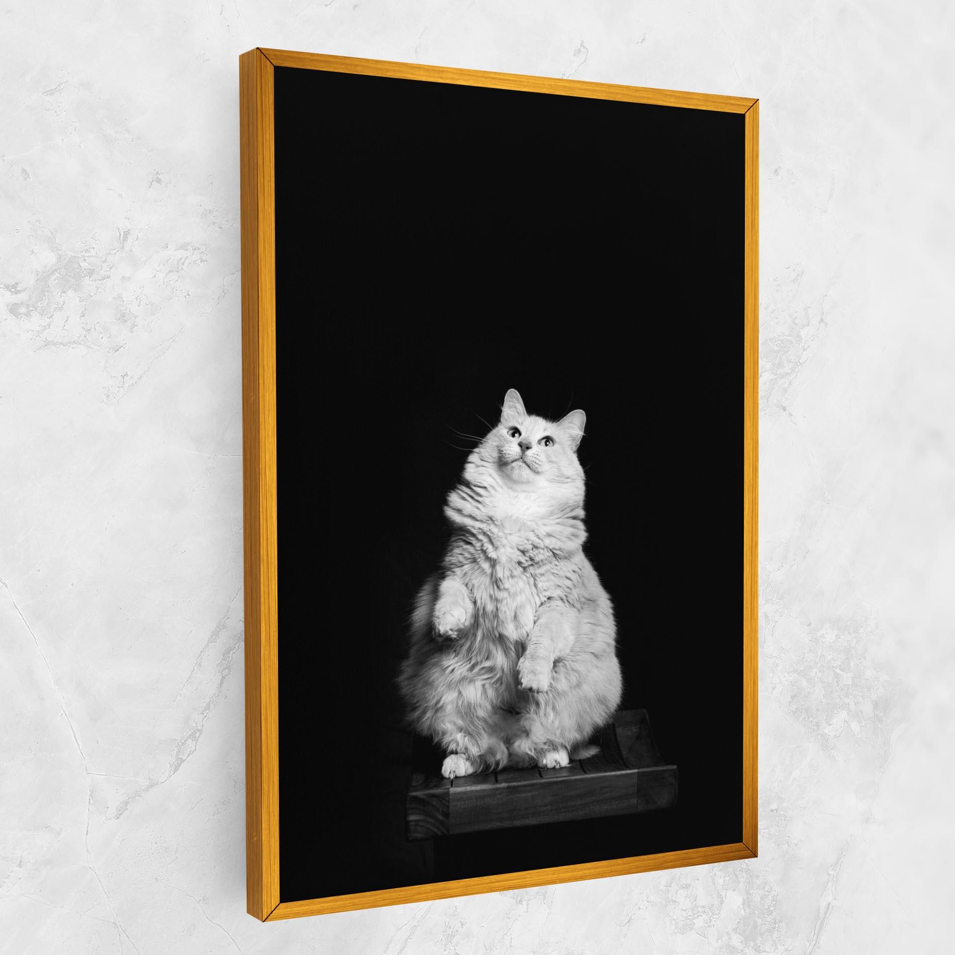 Vászonkép Big Fluffy Cat mockup 1