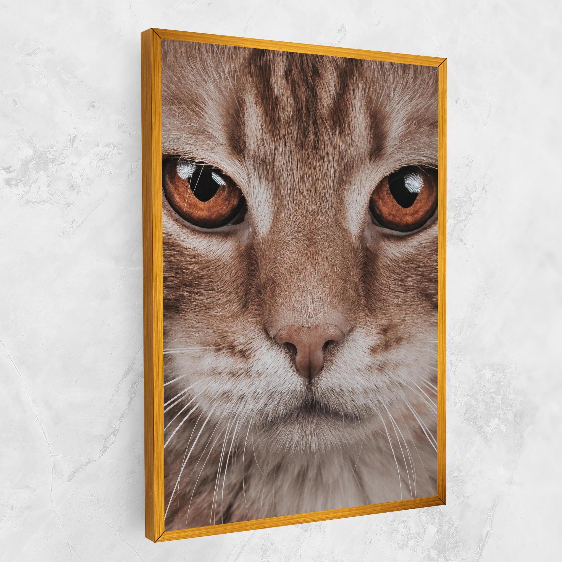 Vászonkép Fire Eyes Cat mockup 1