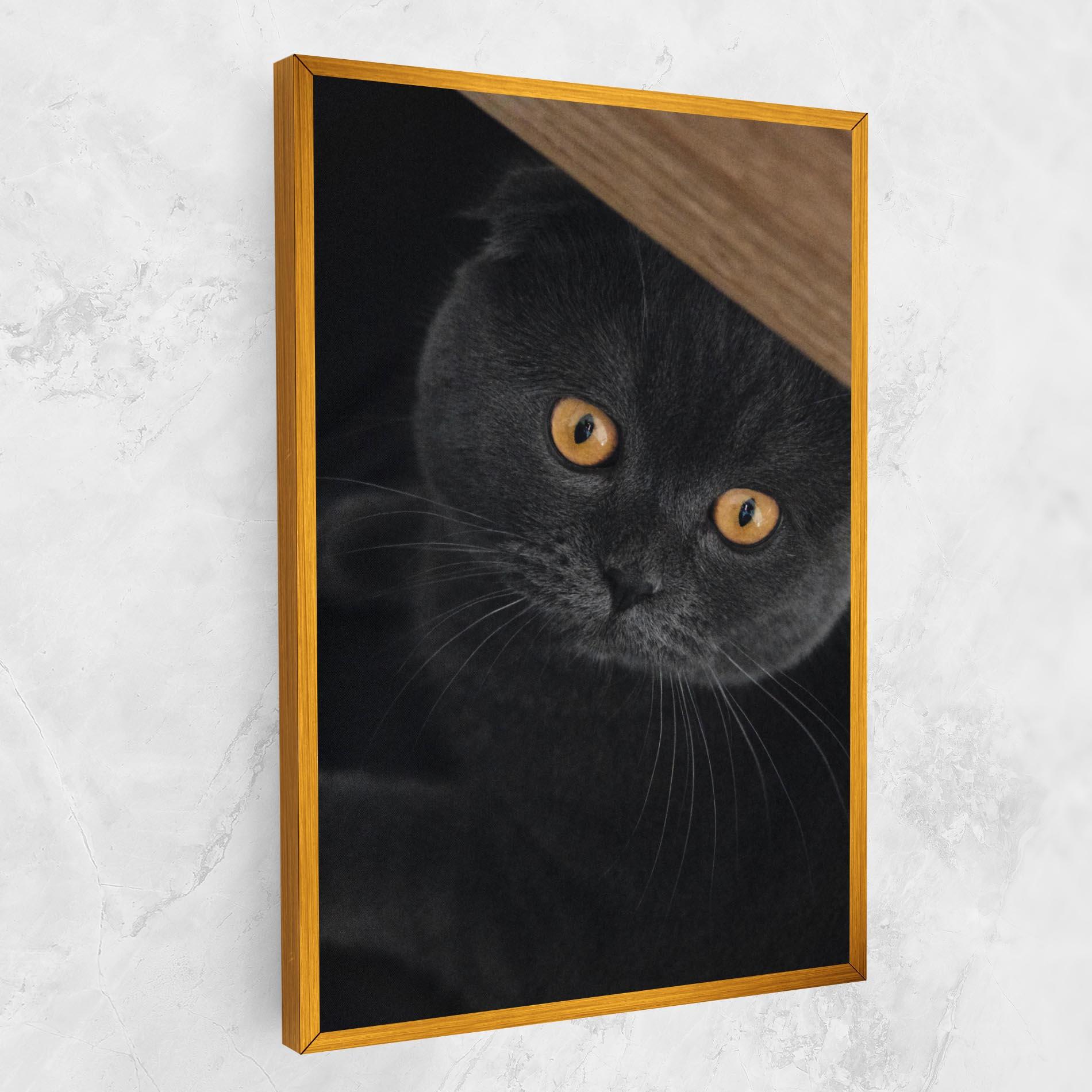 Vászonkép Grey Cat With Orange Eyes mockup 1