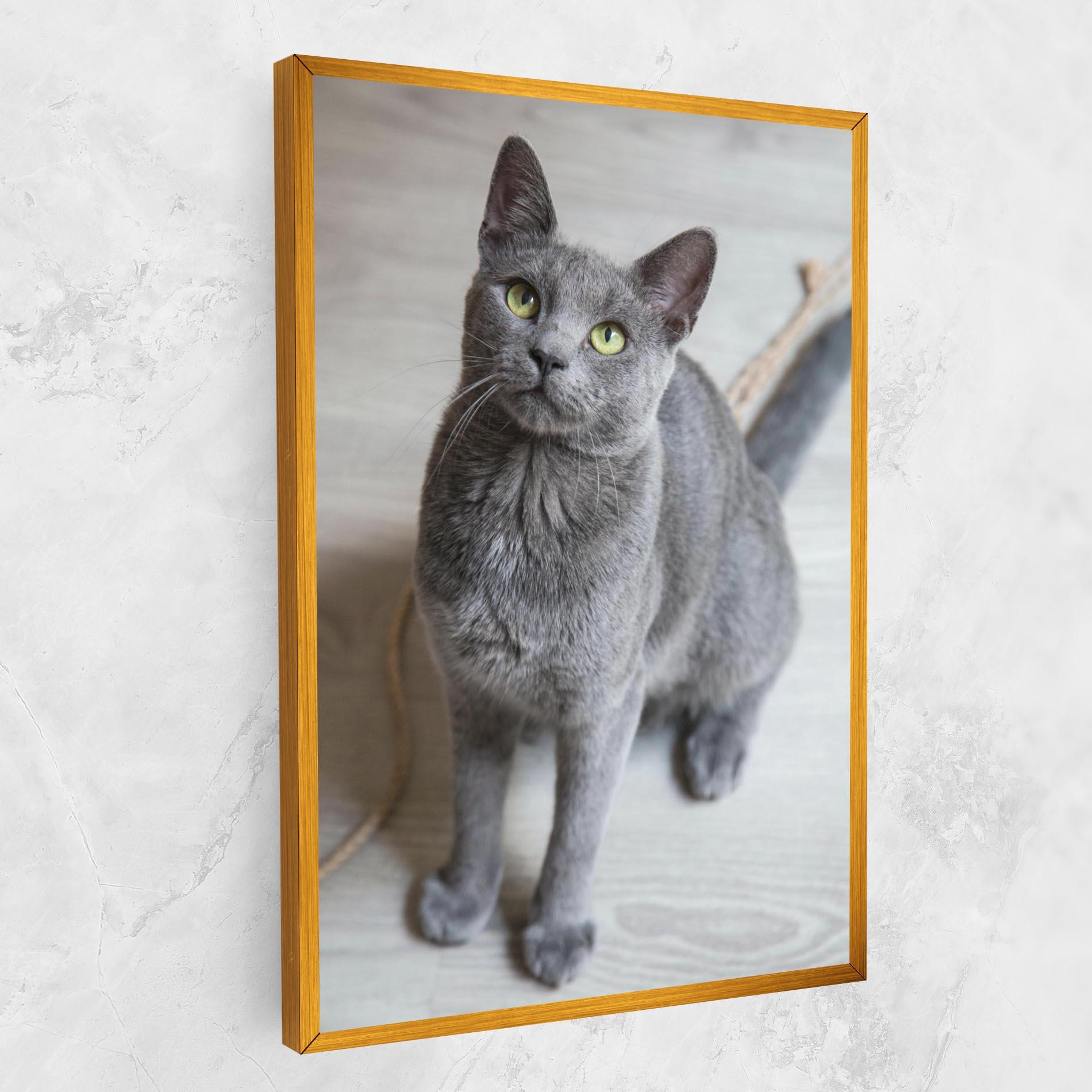 Vászonkép Grey Green Cat Eyes mockup 1