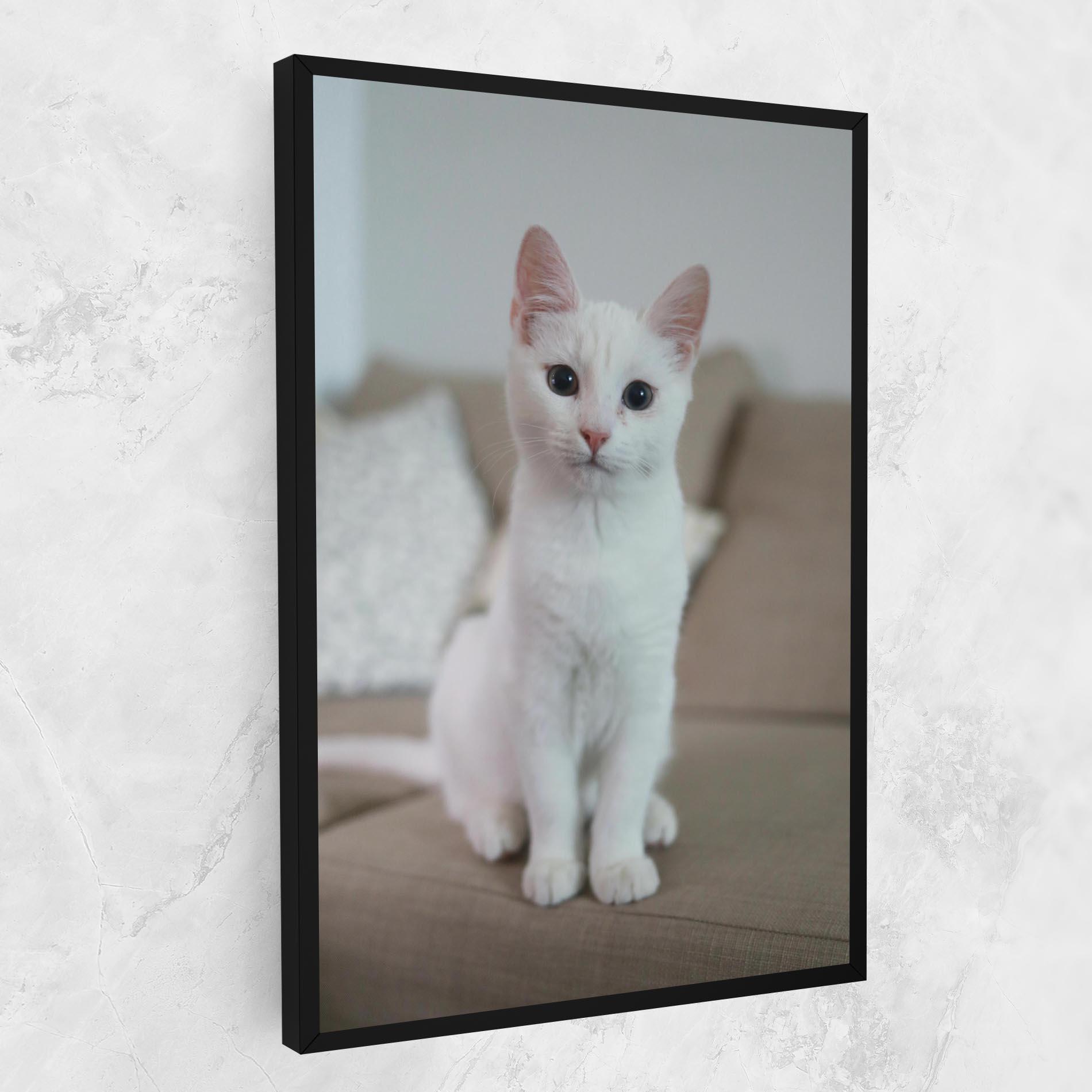 Vászonkép Beautiful White Cat mockup 1