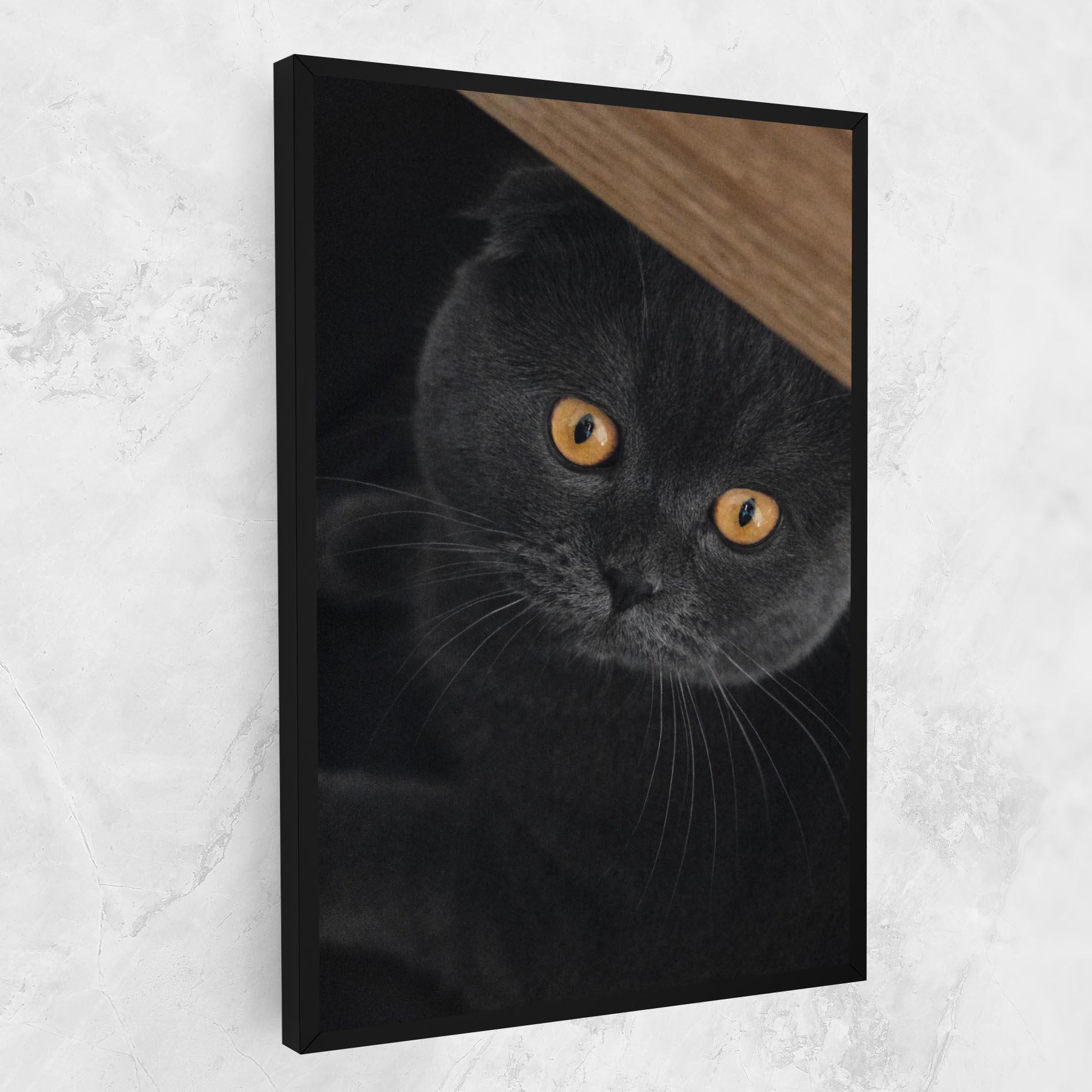 Vászonkép Grey Cat With Orange Eyes mockup 1