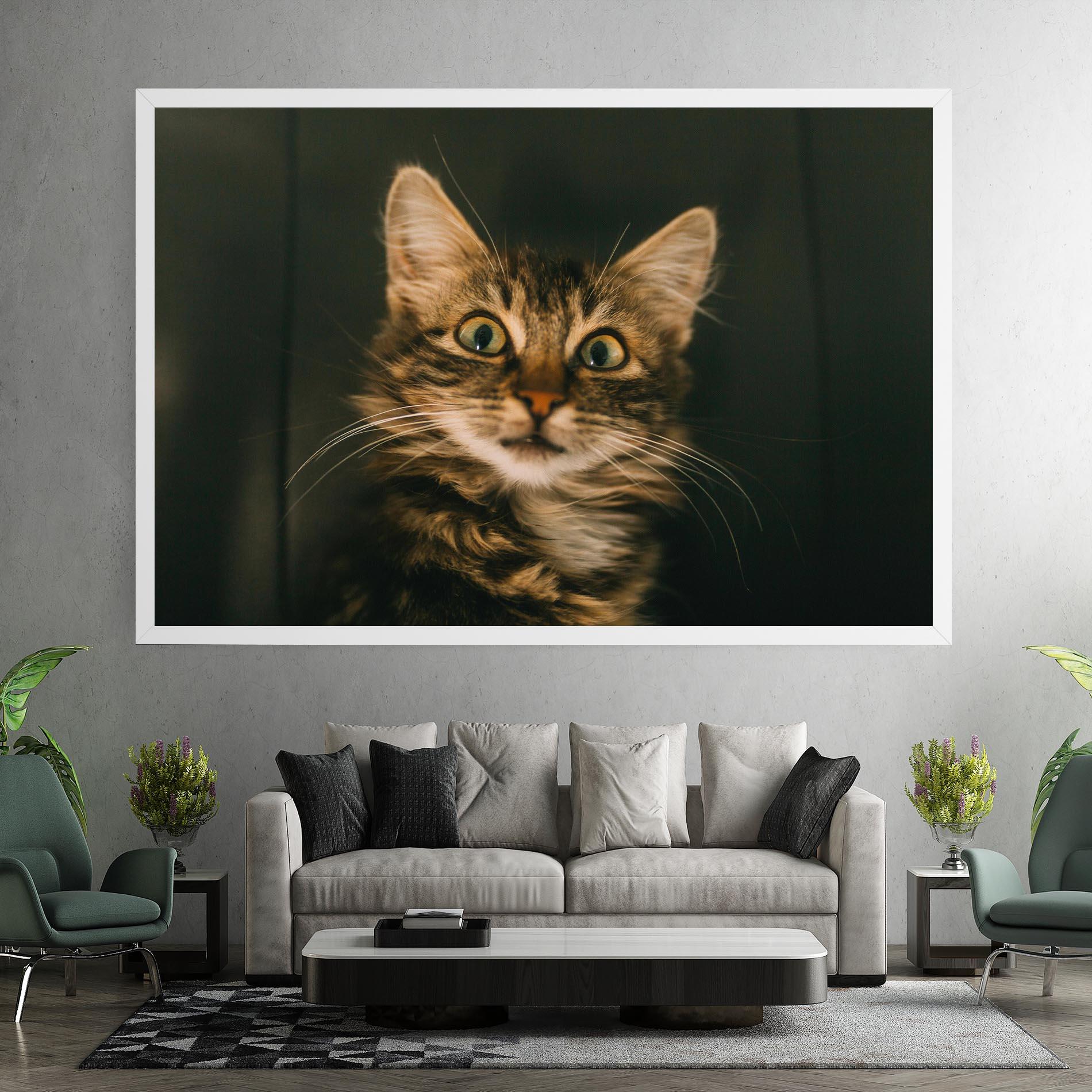 Vászonkép Amazed Cat mockup 7