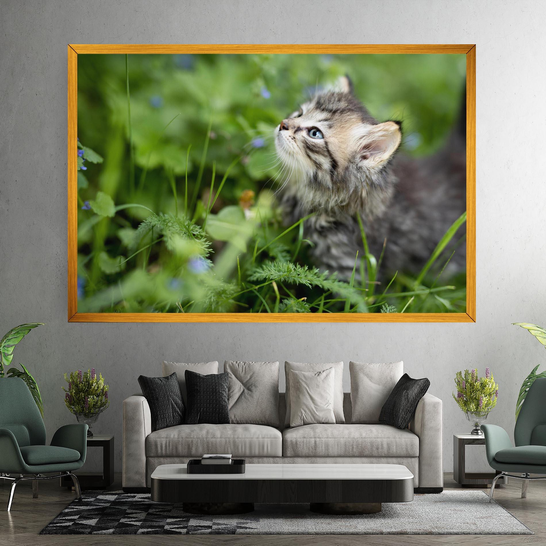 Vászonkép Brown Baby Cat mockup 7