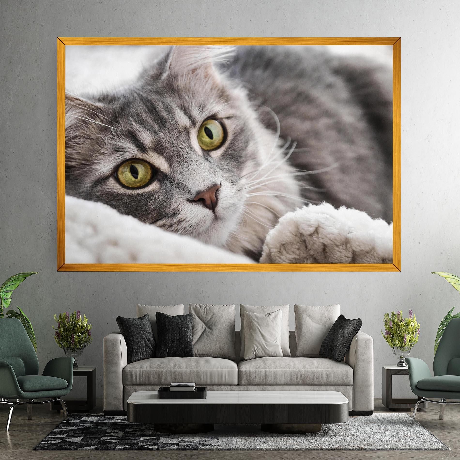 Vászonkép Grey Fluffy Cat mockup 7