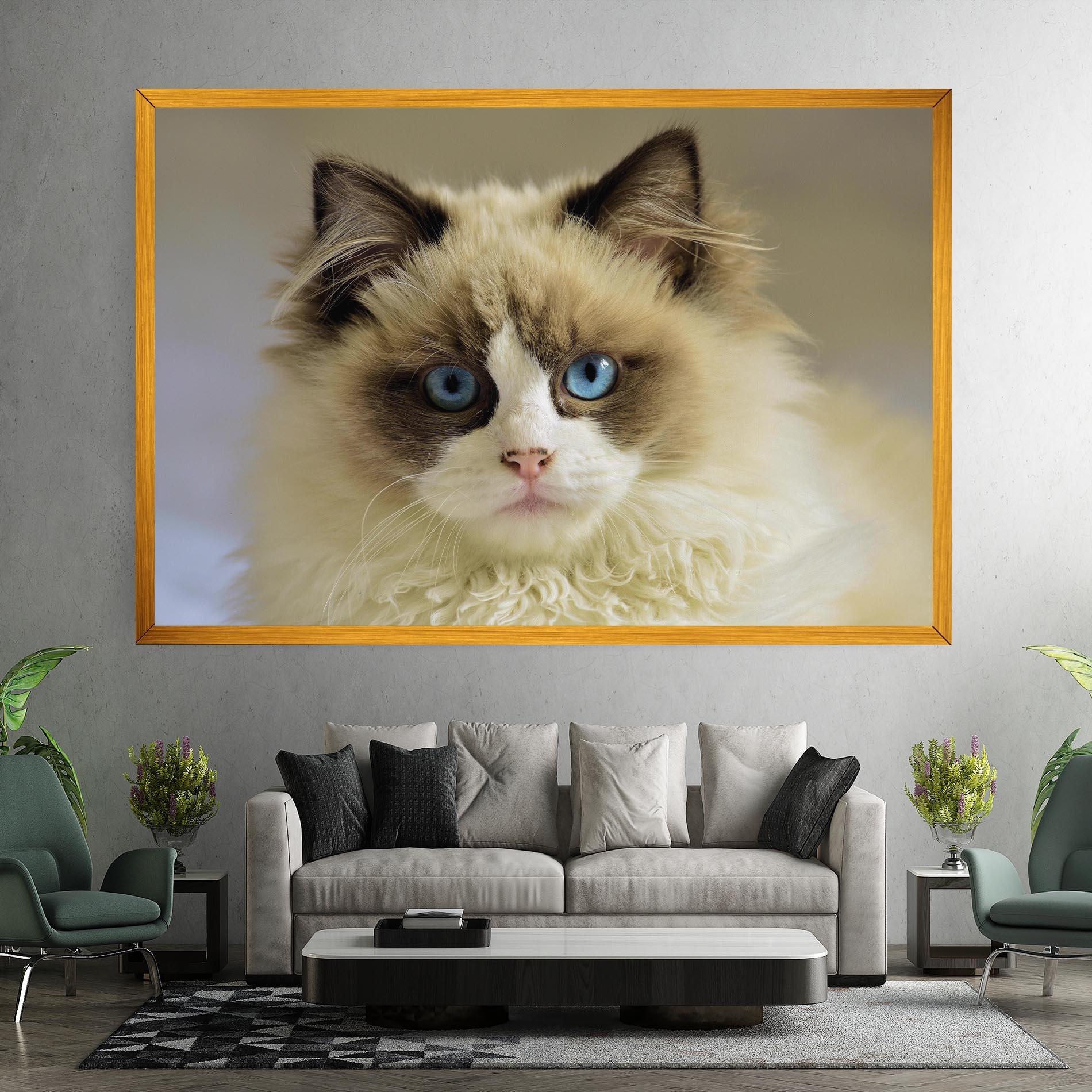 Vászonkép Interesting Blue Eyes Cat mockup 7