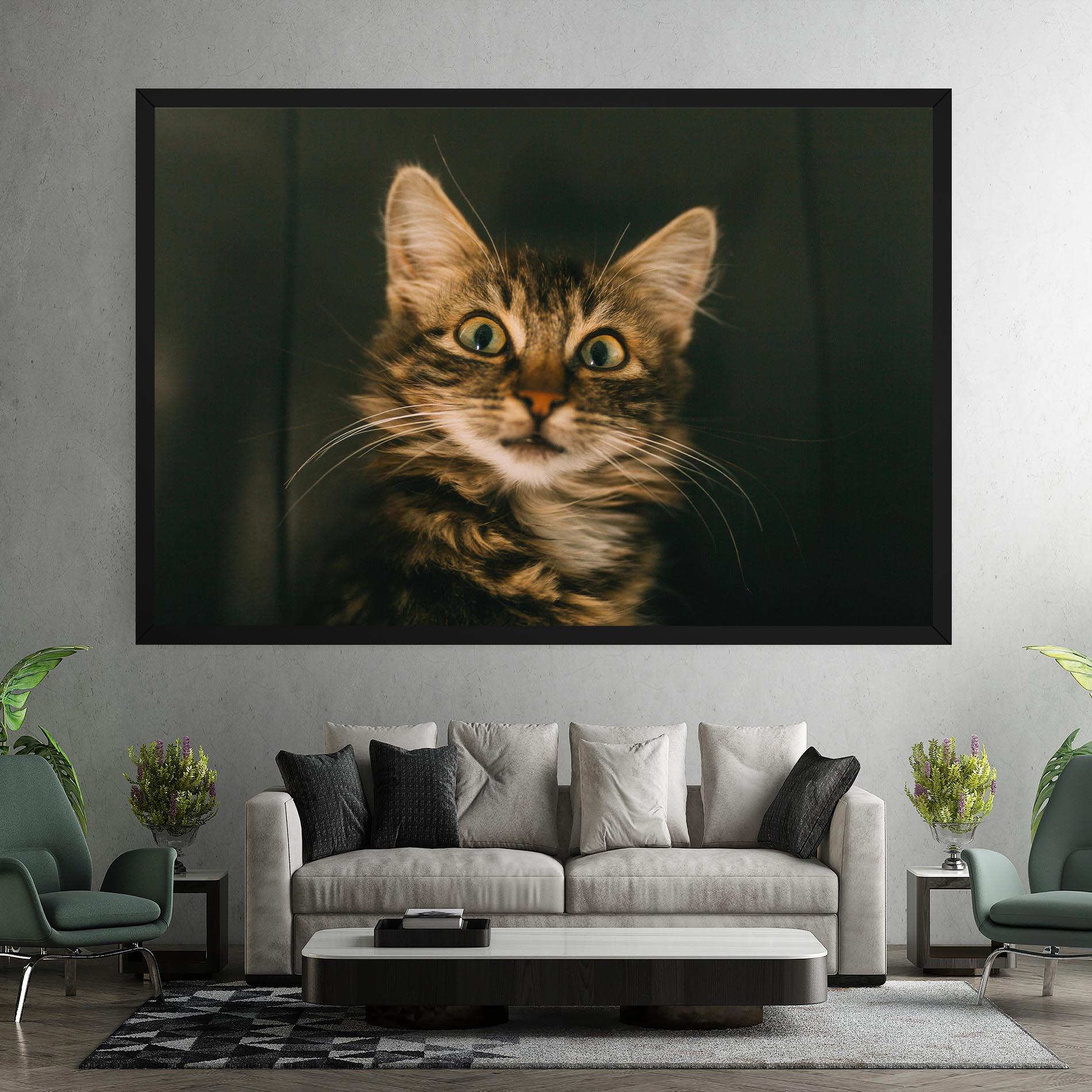 Vászonkép Amazed Cat mockup 7