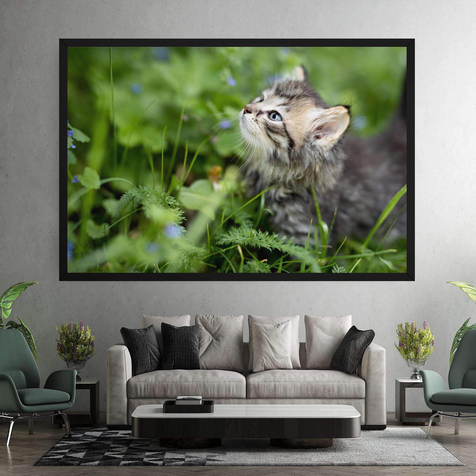 Vászonkép Brown Baby Cat mockup 7