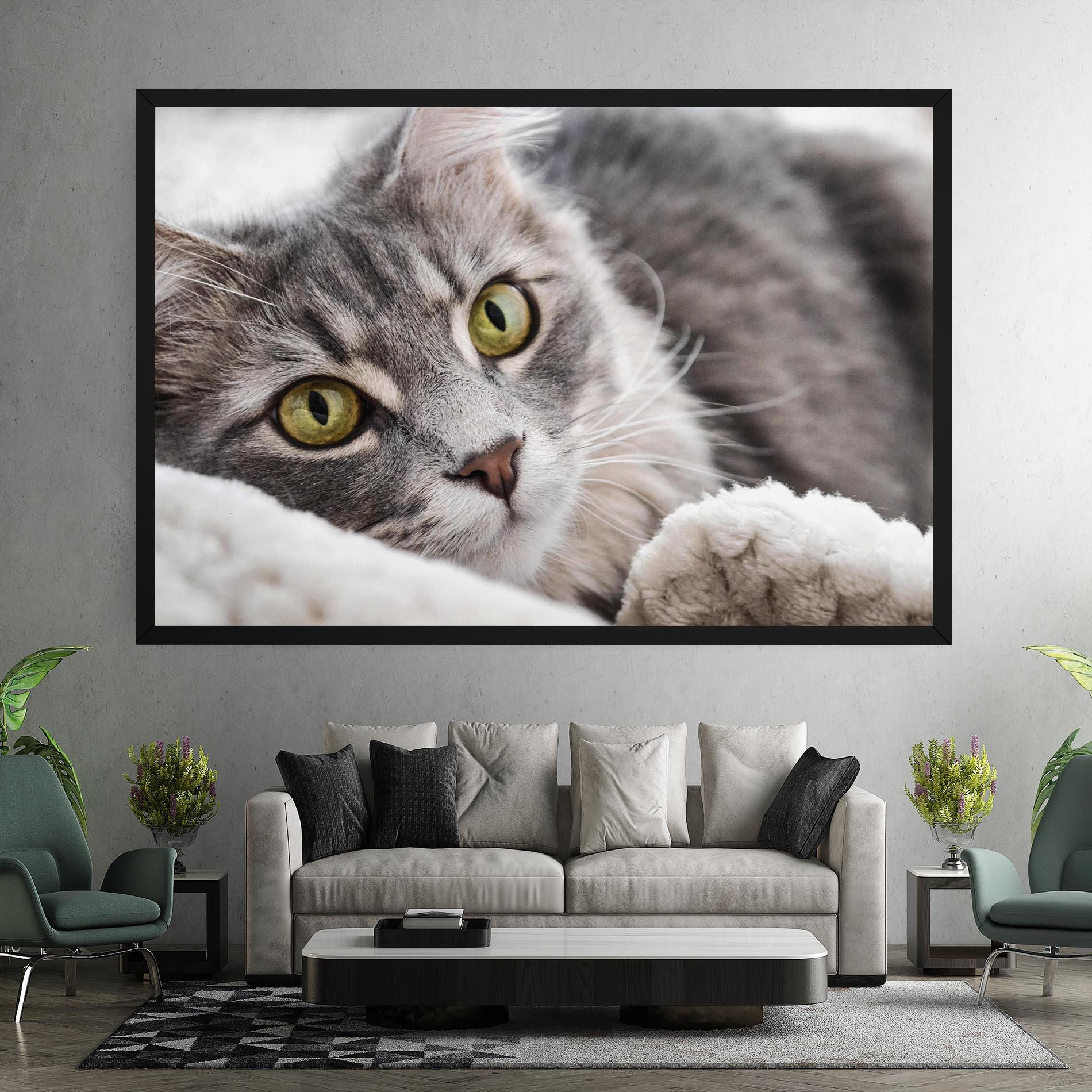 Vászonkép Grey Fluffy Cat mockup 7