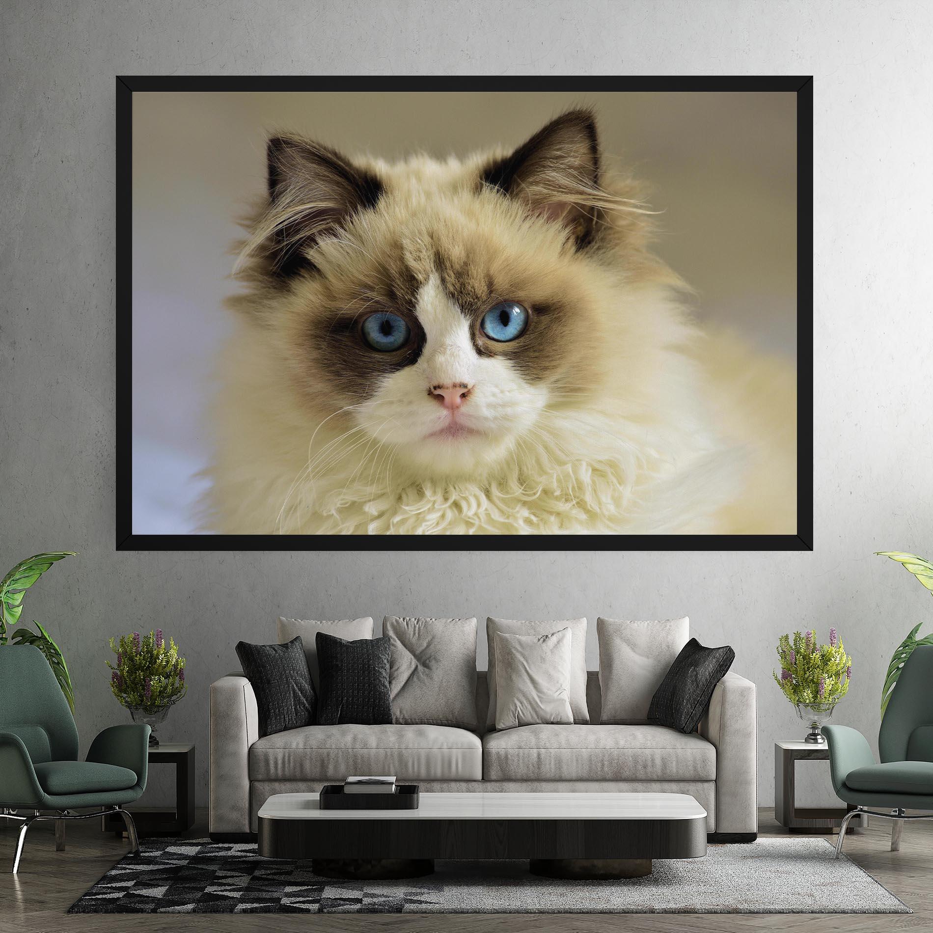 Vászonkép Interesting Blue Eyes Cat mockup 7