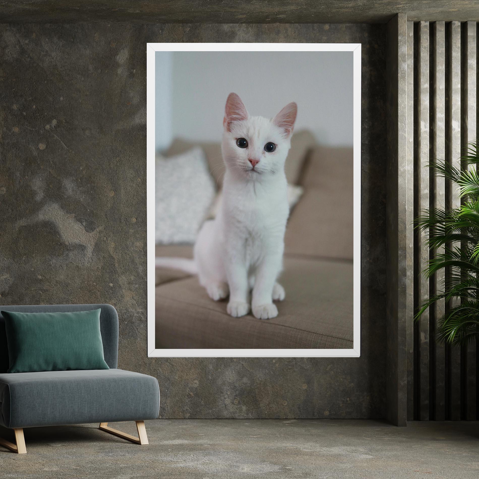 Vászonkép Beautiful White Cat mockup 7