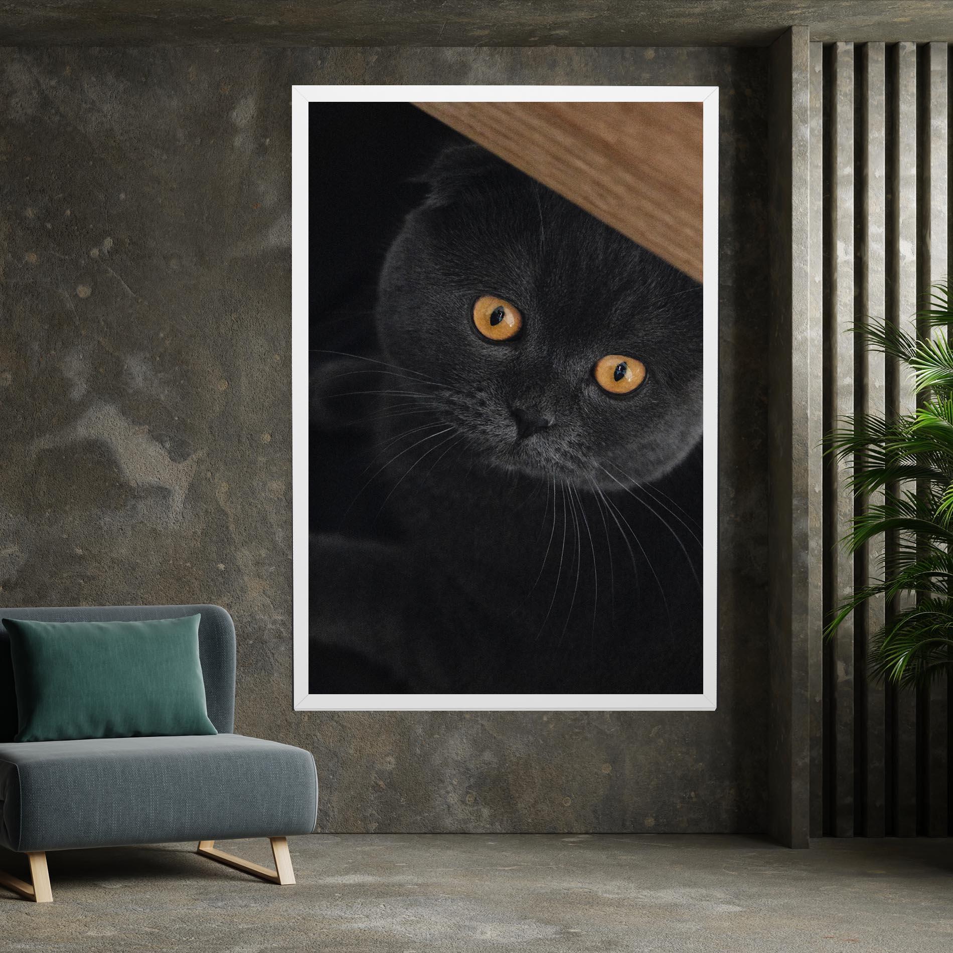 Vászonkép Grey Cat With Orange Eyes mockup 7