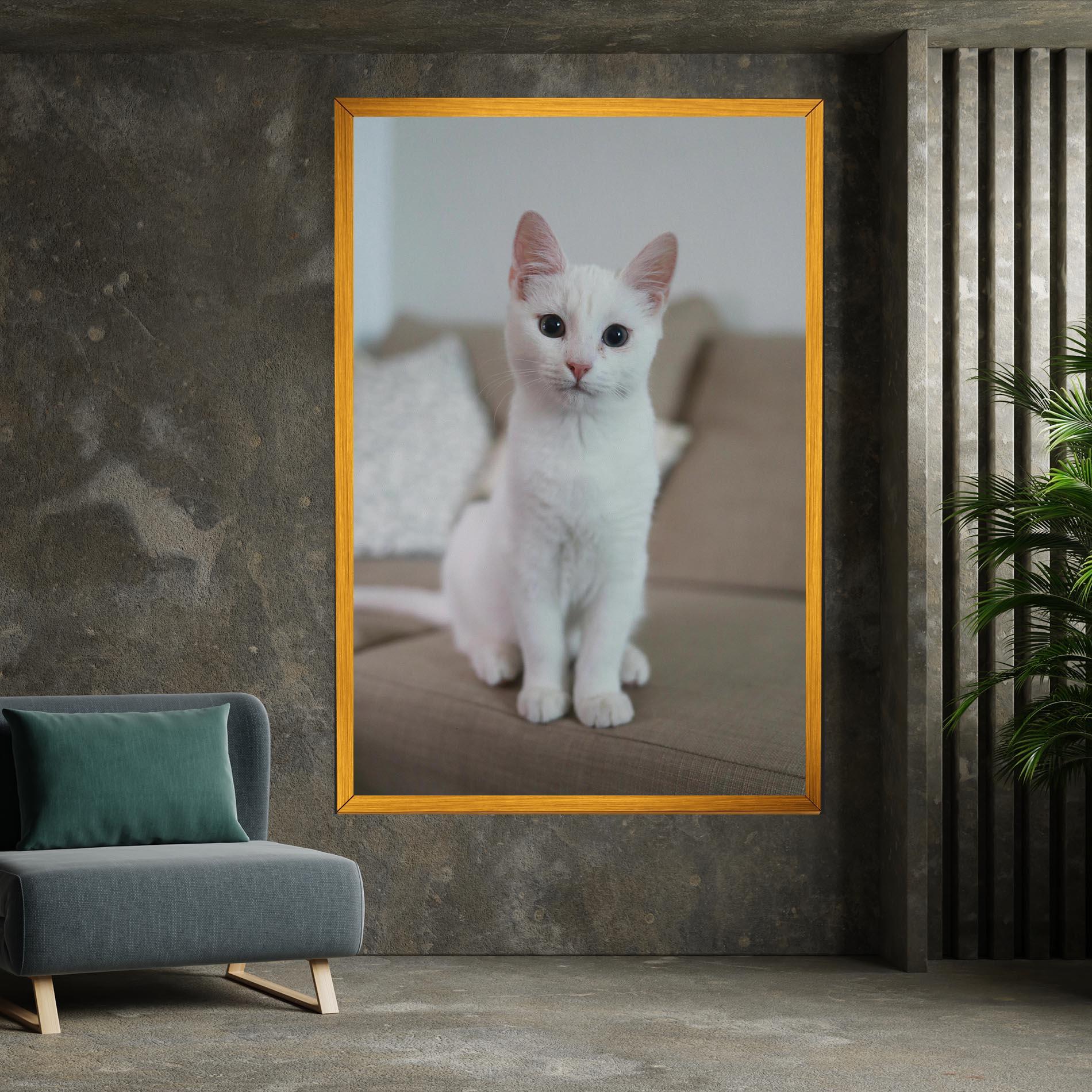 Vászonkép Beautiful White Cat mockup 7