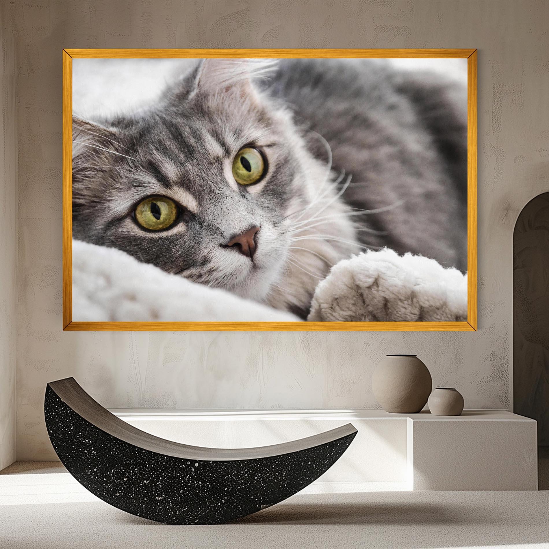 Vászonkép Grey Fluffy Cat mockup 8