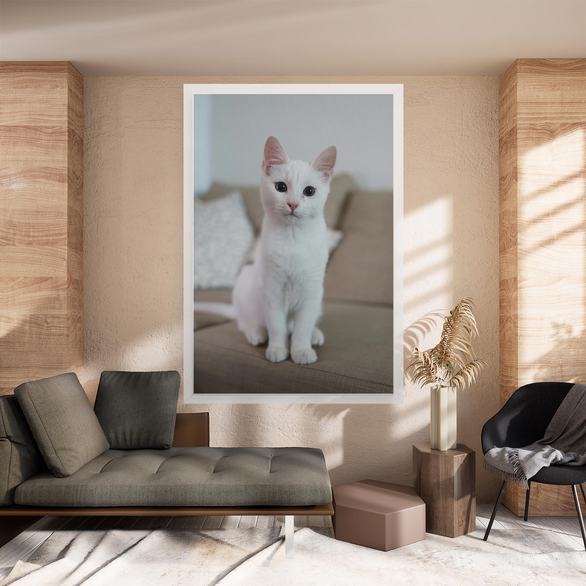 Vászonkép Beautiful White Cat mockup 8