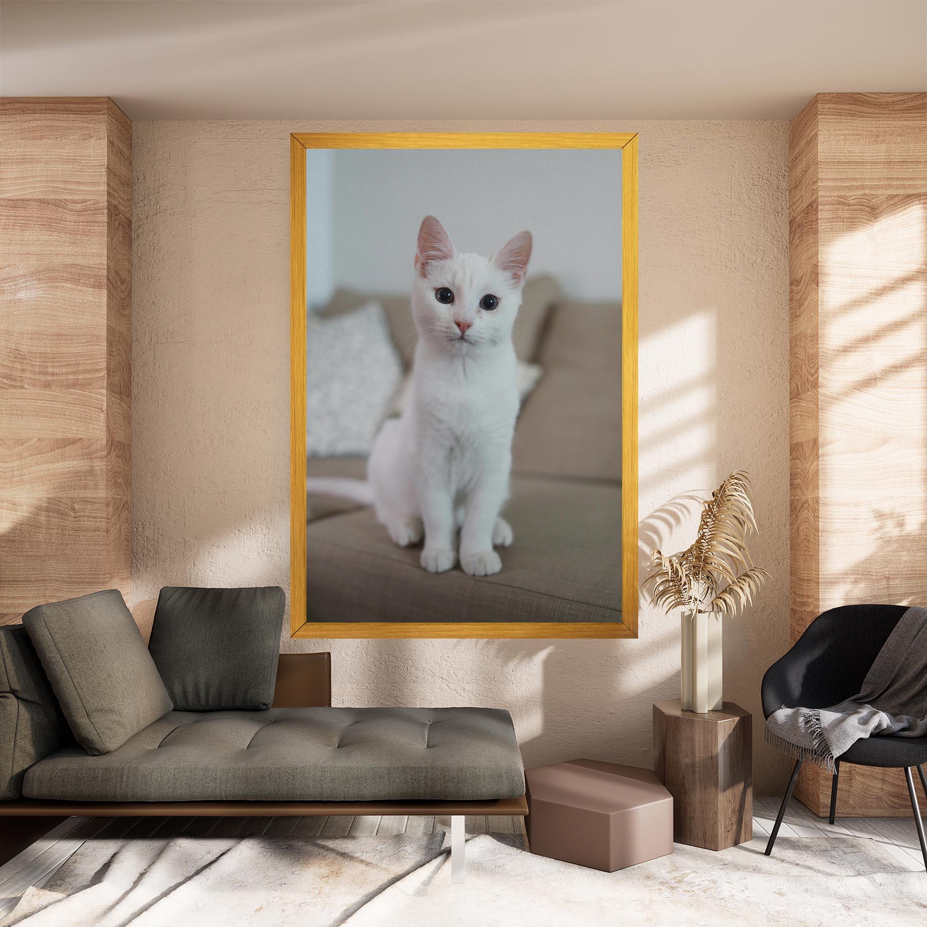 Vászonkép Beautiful White Cat mockup 8