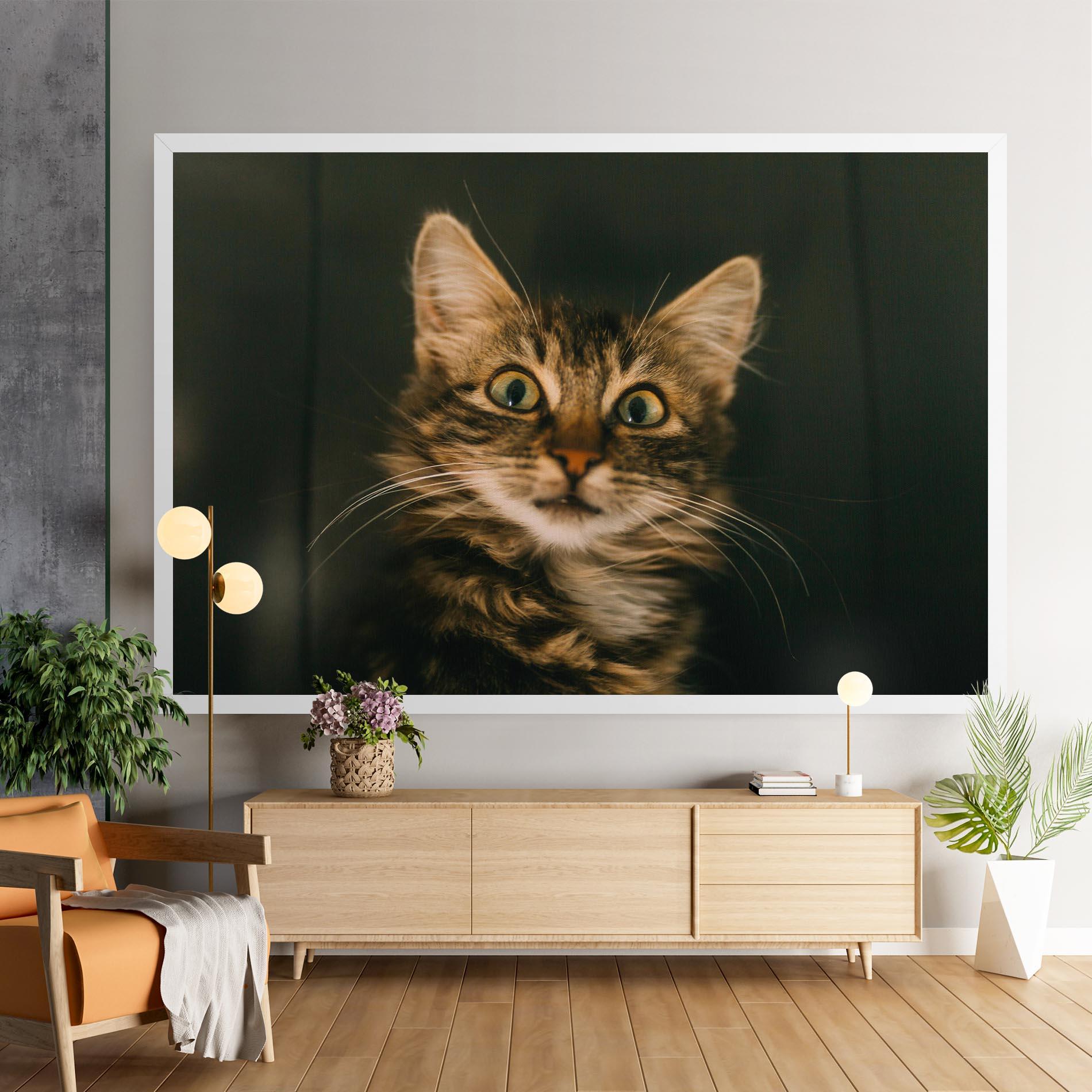 Vászonkép Amazed Cat mockup 9