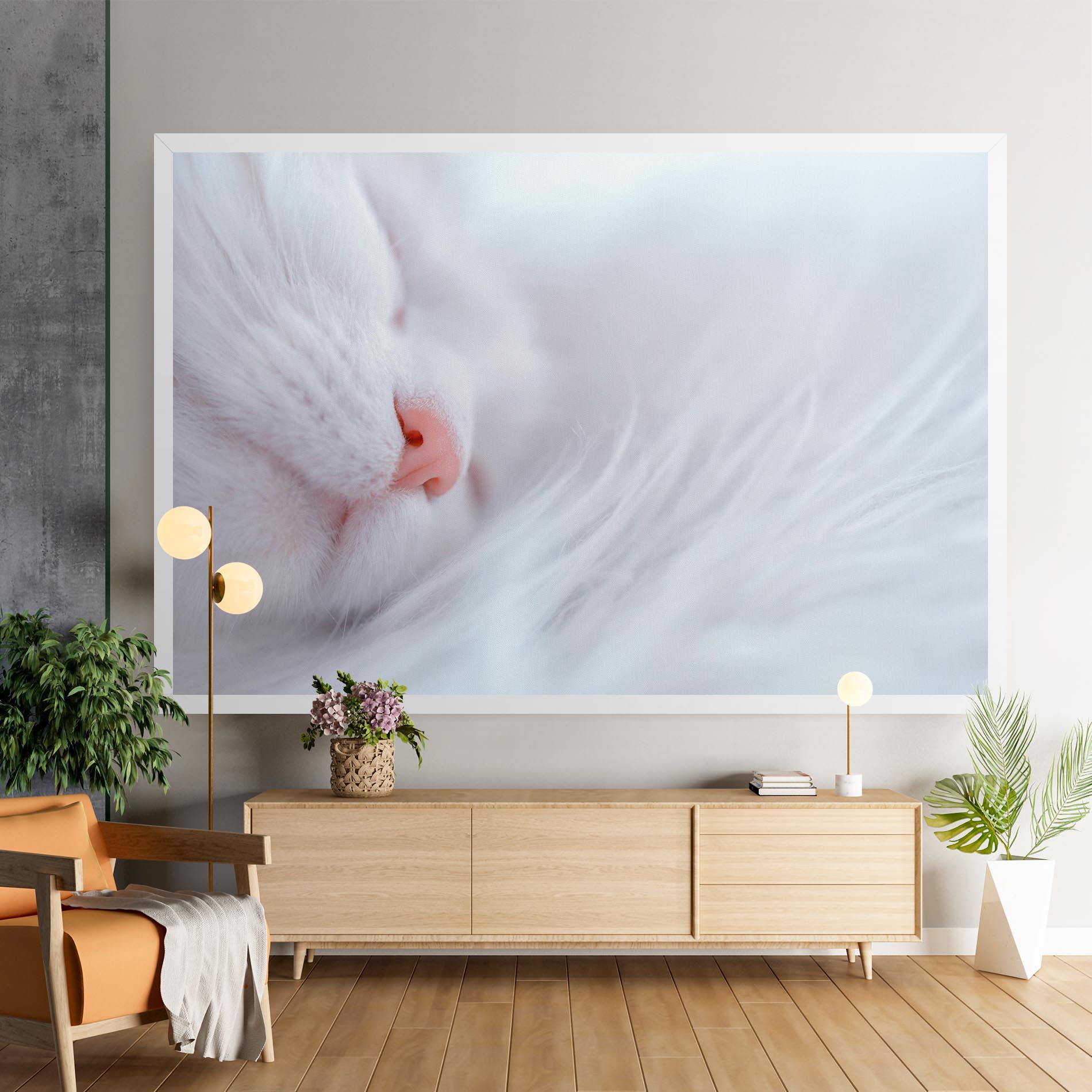 Vászonkép Dreamy White Cat mockup 9