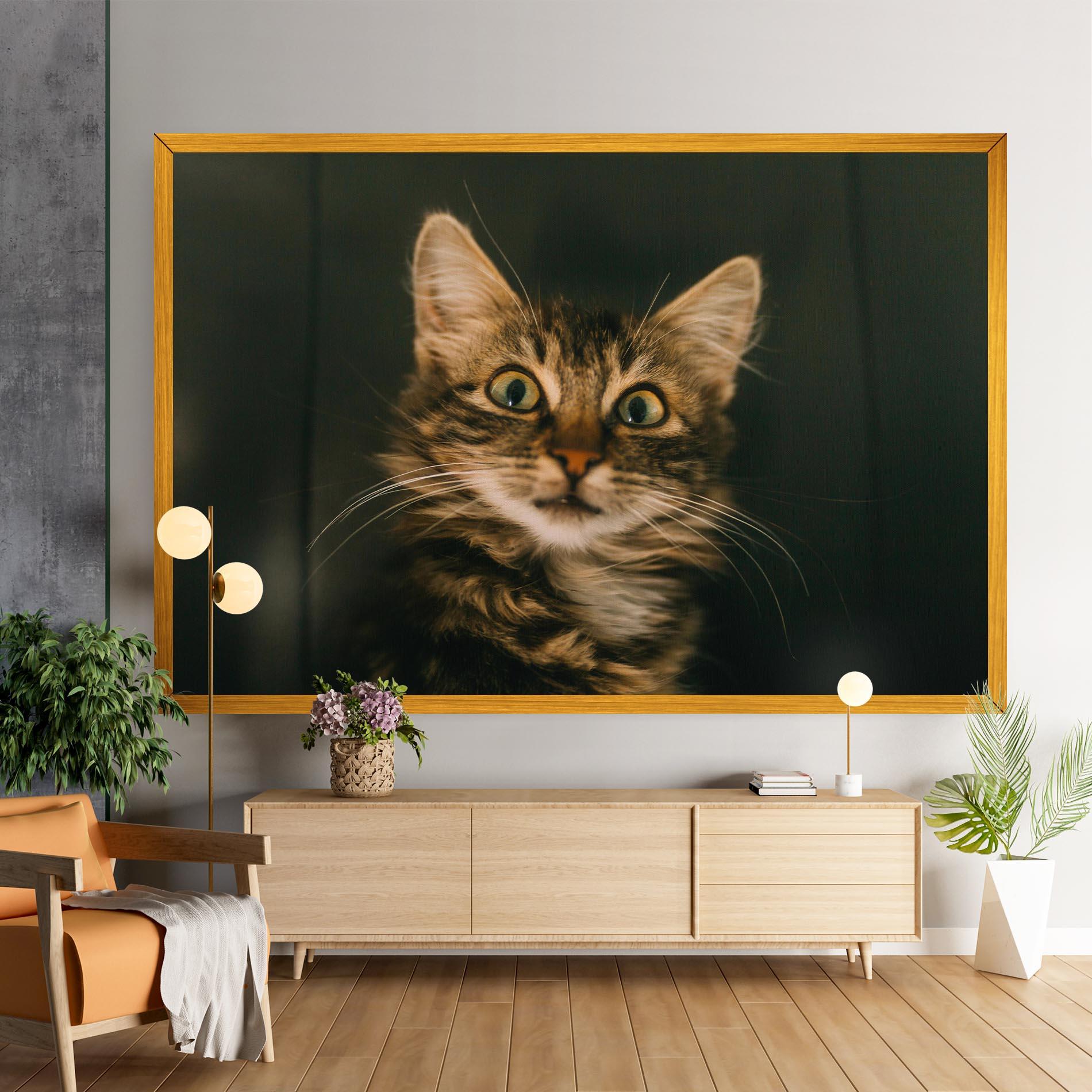 Vászonkép Amazed Cat mockup 9