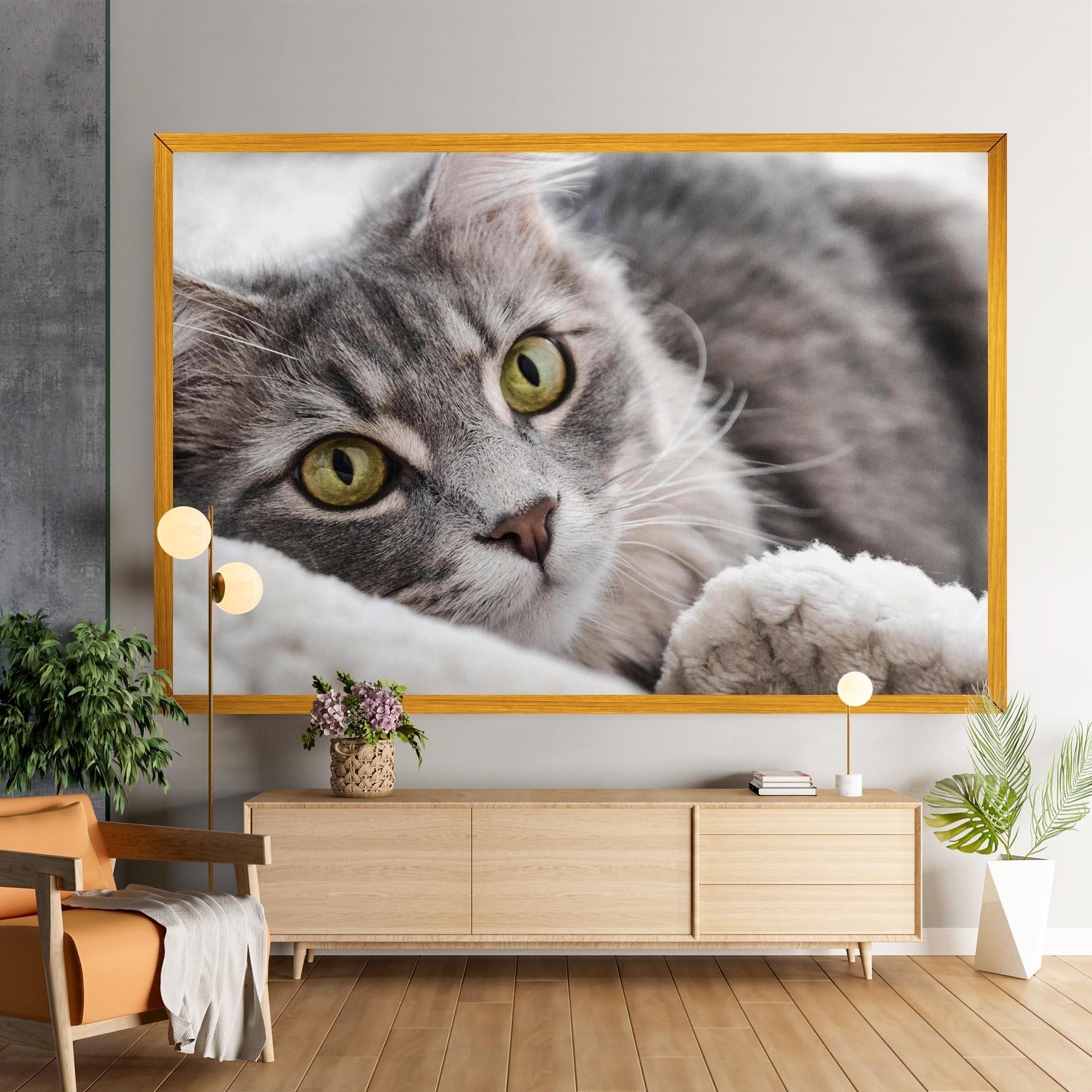 Vászonkép Grey Fluffy Cat mockup 9