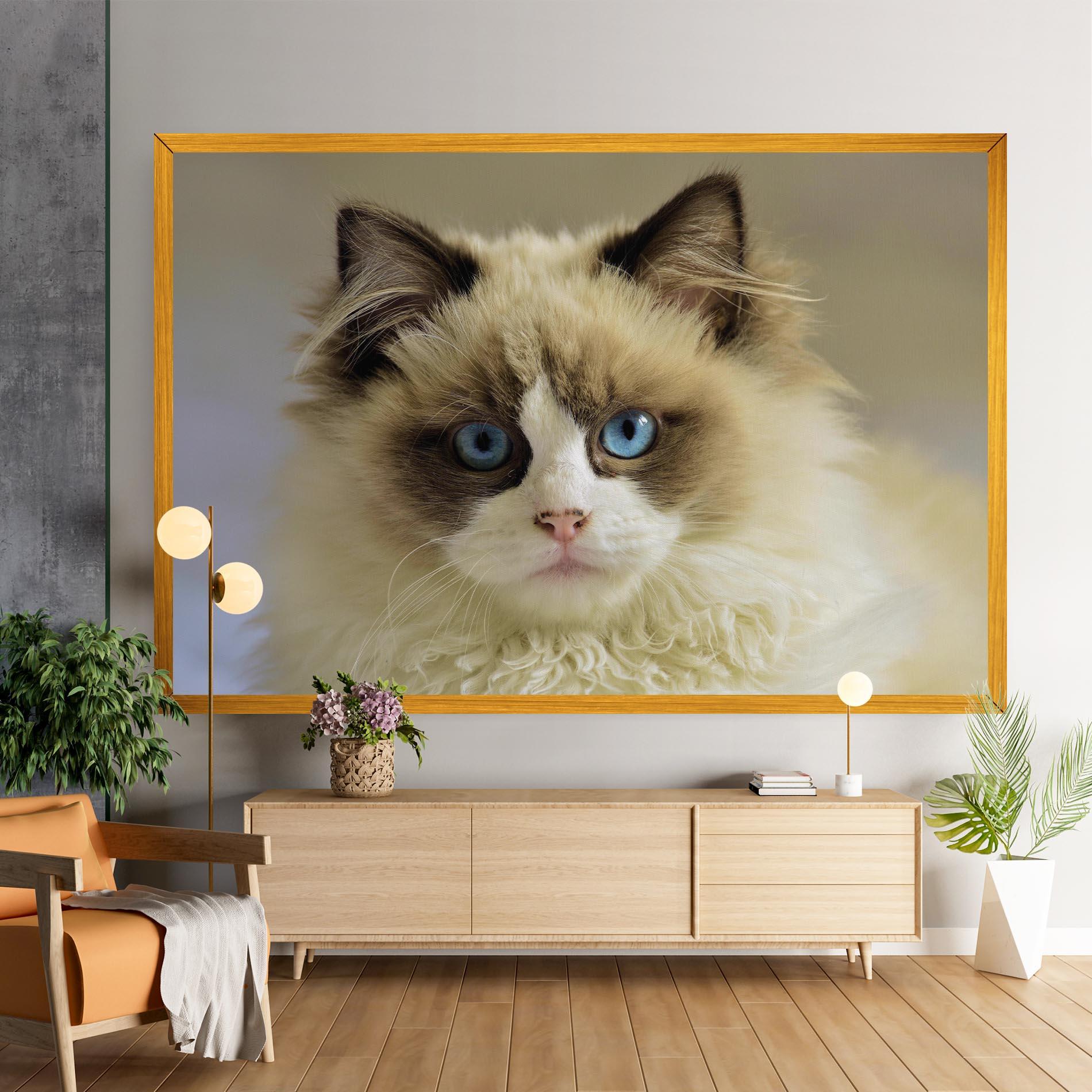Vászonkép Interesting Blue Eyes Cat mockup 9