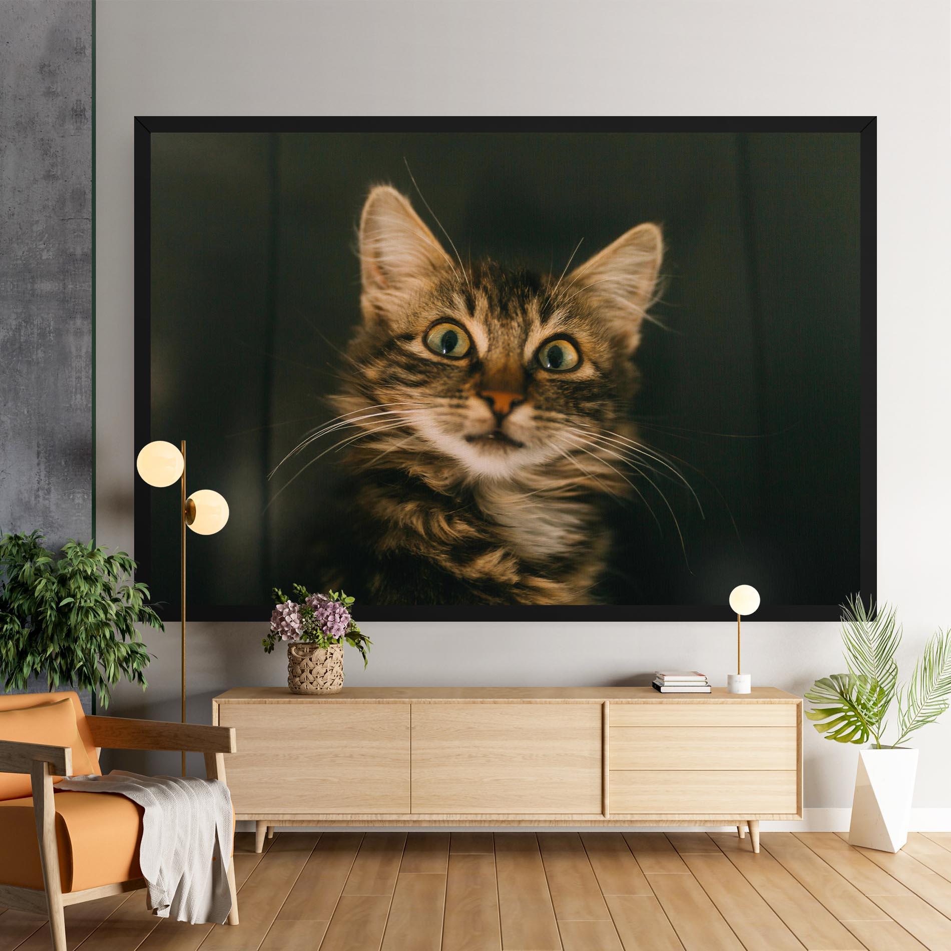 Vászonkép Amazed Cat mockup 9