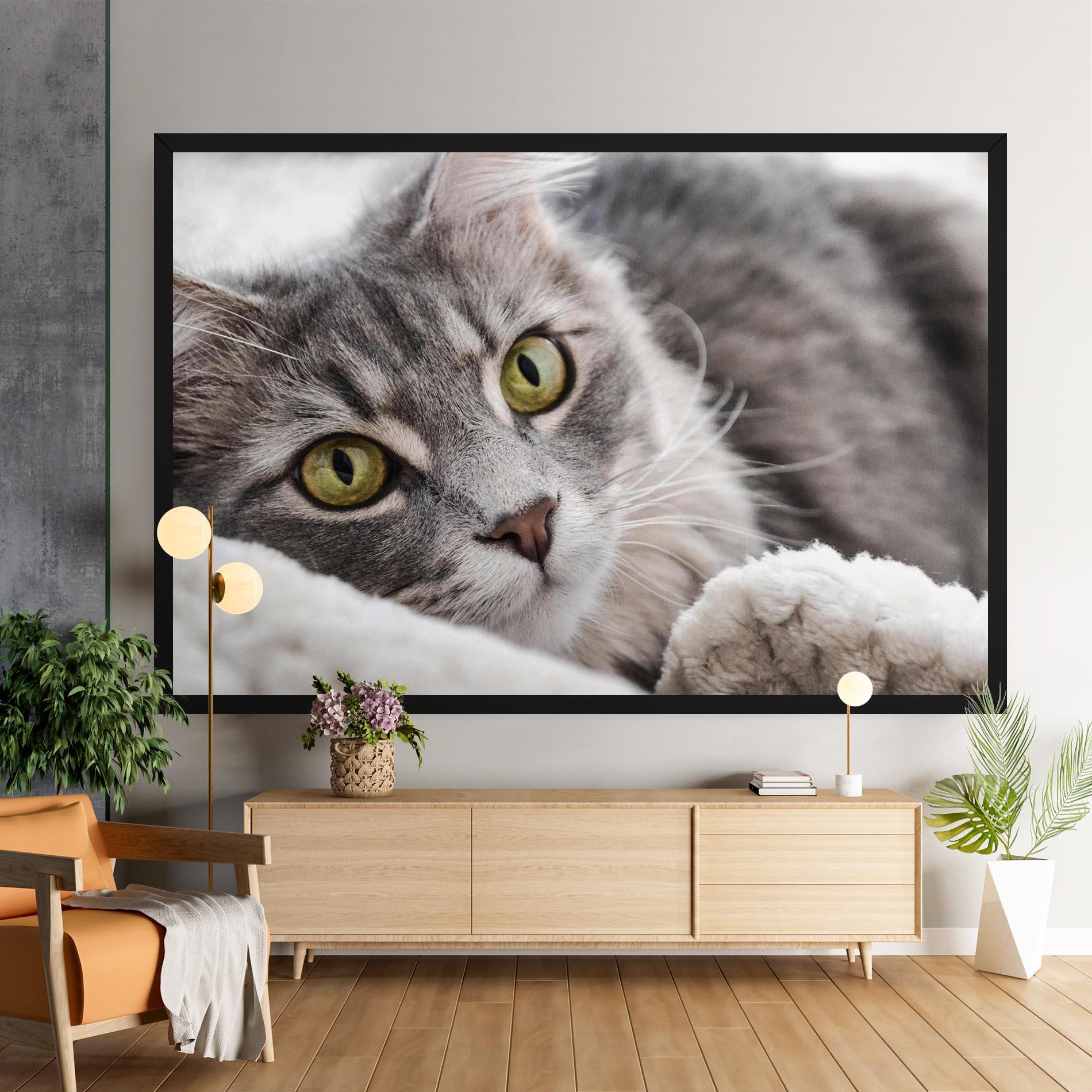Vászonkép Grey Fluffy Cat mockup 9