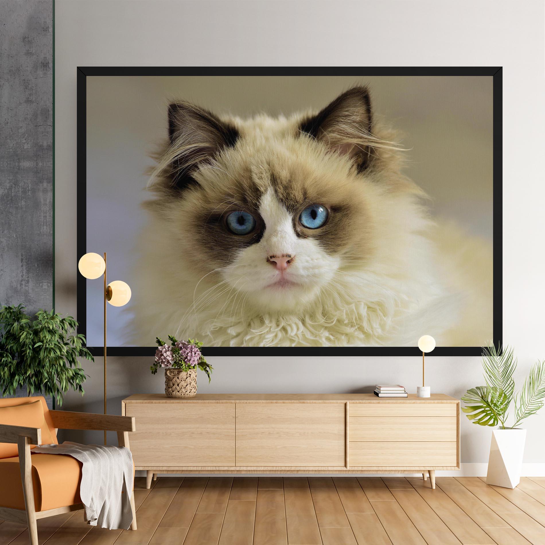 Vászonkép Interesting Blue Eyes Cat mockup 9