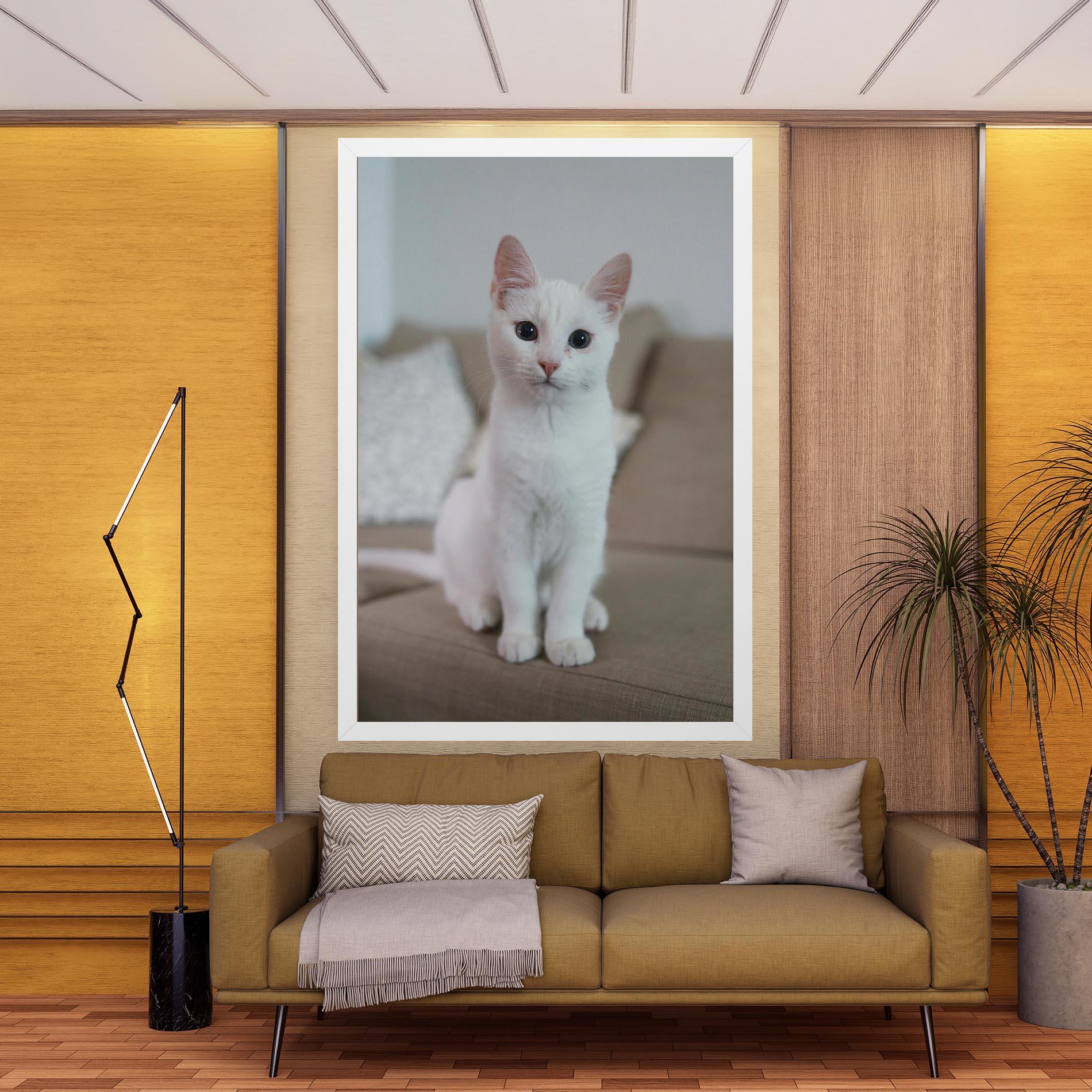 Vászonkép Beautiful White Cat mockup 9